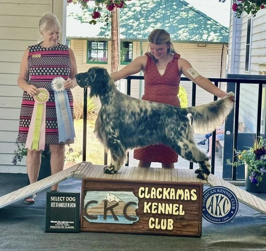 Professional Dog Handling