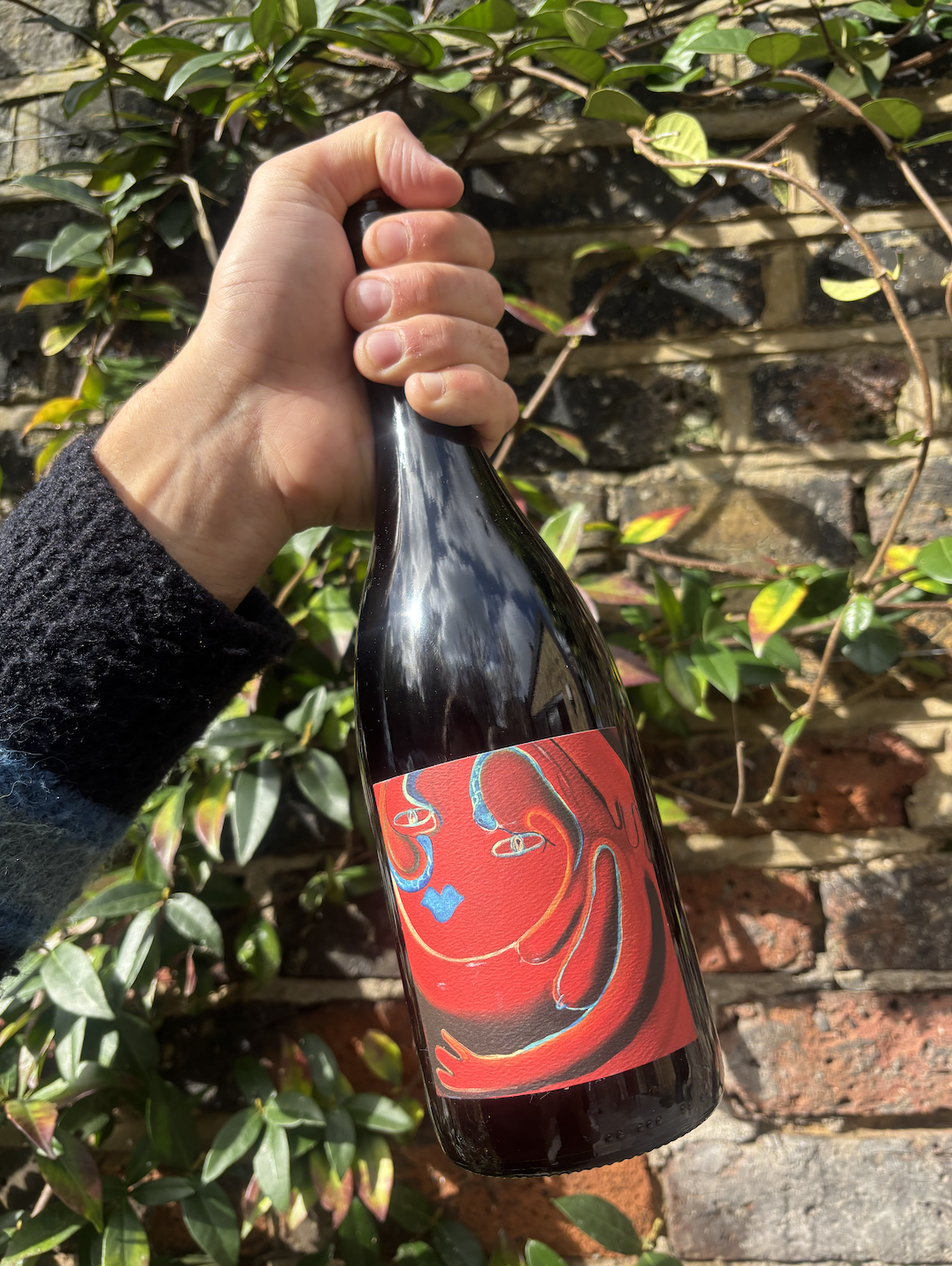 2021 dixon creek syrah
