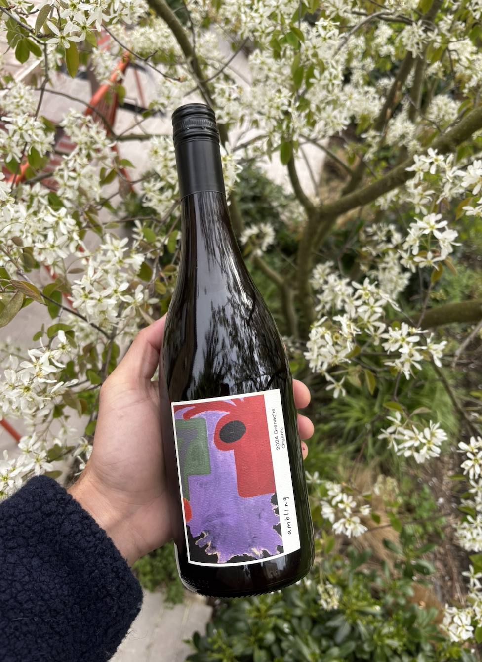 2024 sellicks hill grenache