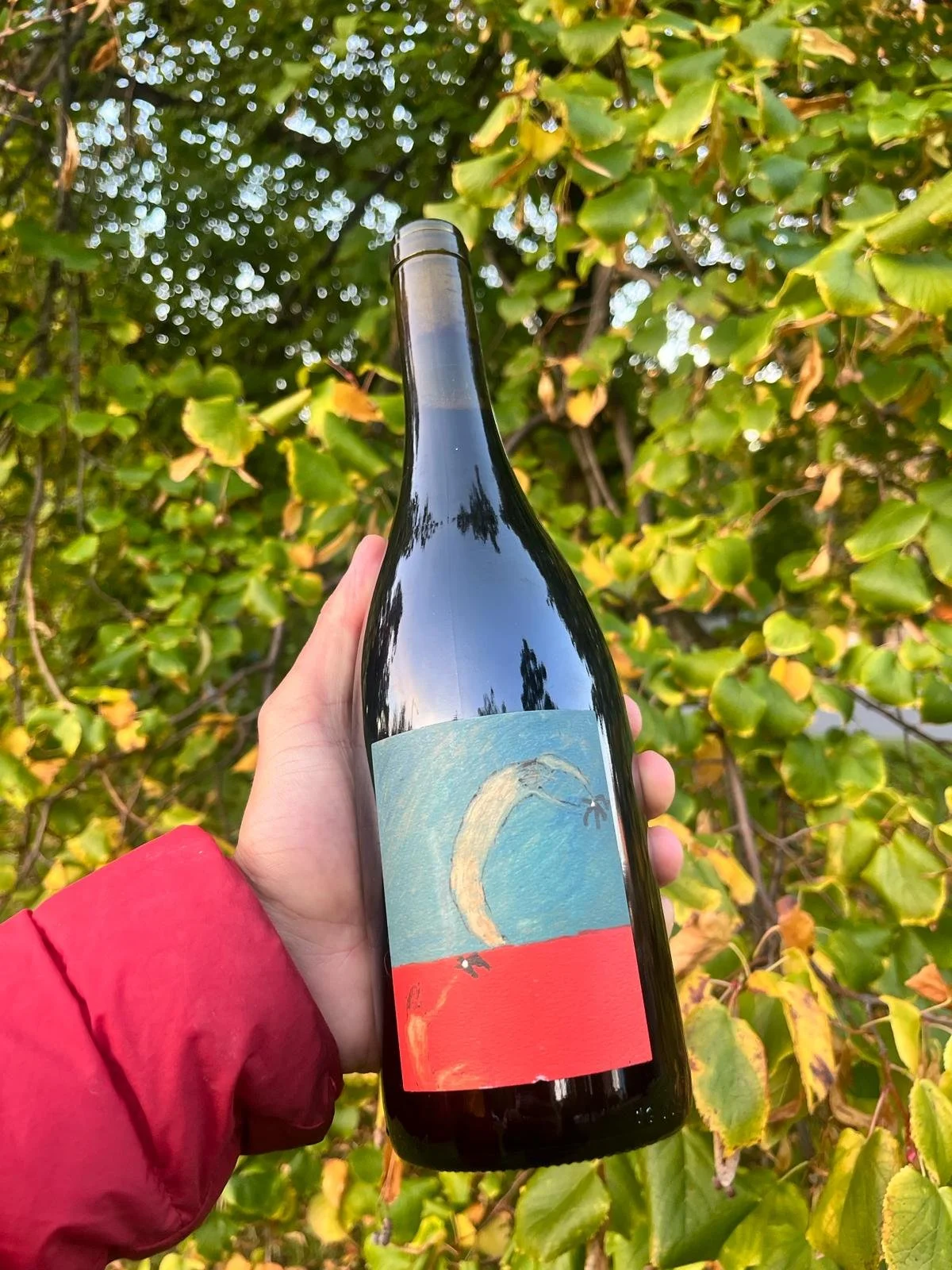 2022 yellingbo syrah