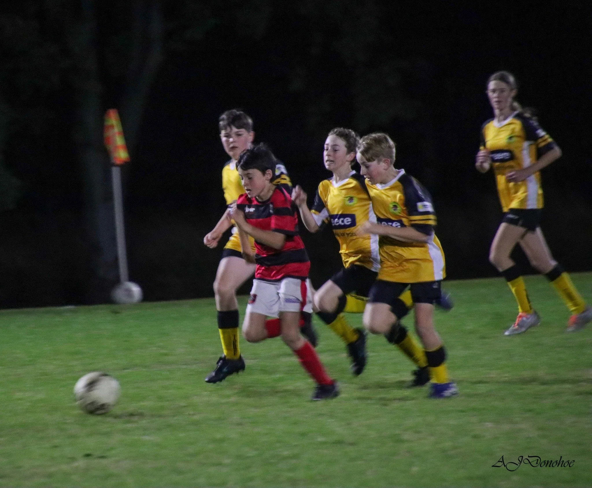 U13/14's 
Yuraygir United Bears x Westlawn Panthers
August 2024
2 - 0 to Westlawn
Images via NCF 