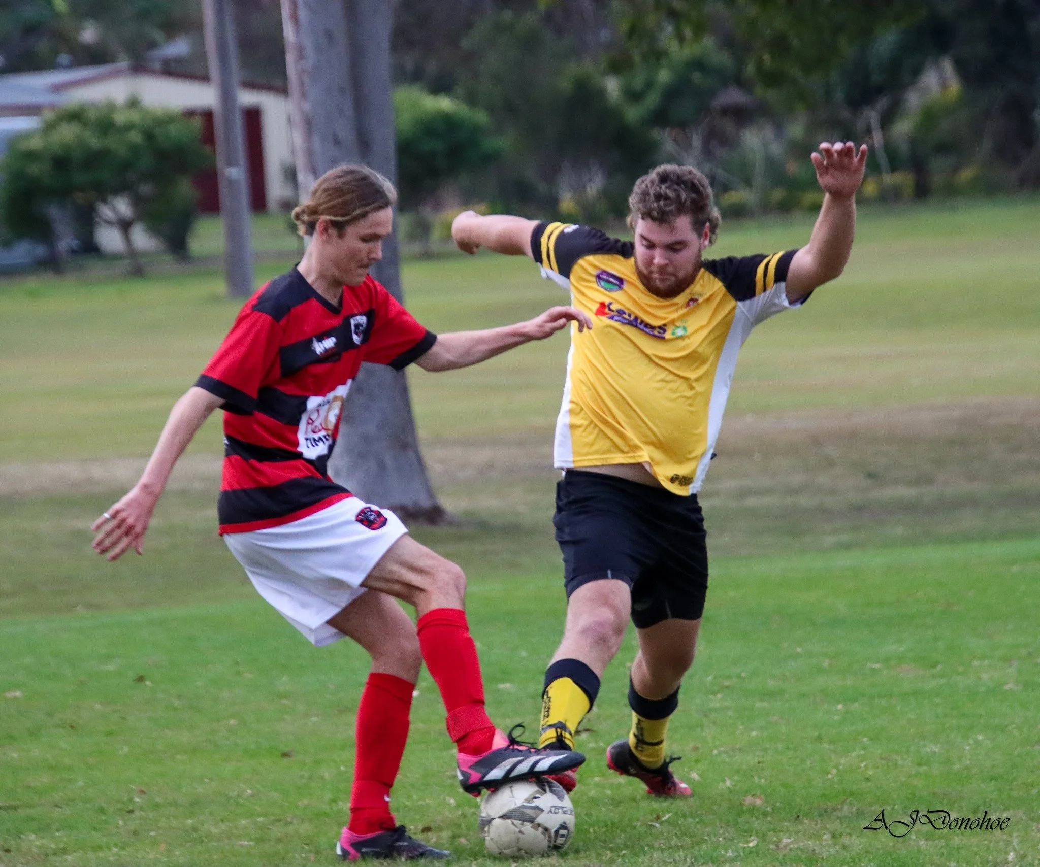 Images via NCF
Yuraygir United vs Westlawn Tigers 
August 2024
Men's 3rd Division
5 - 1 to Yuraygir Bears