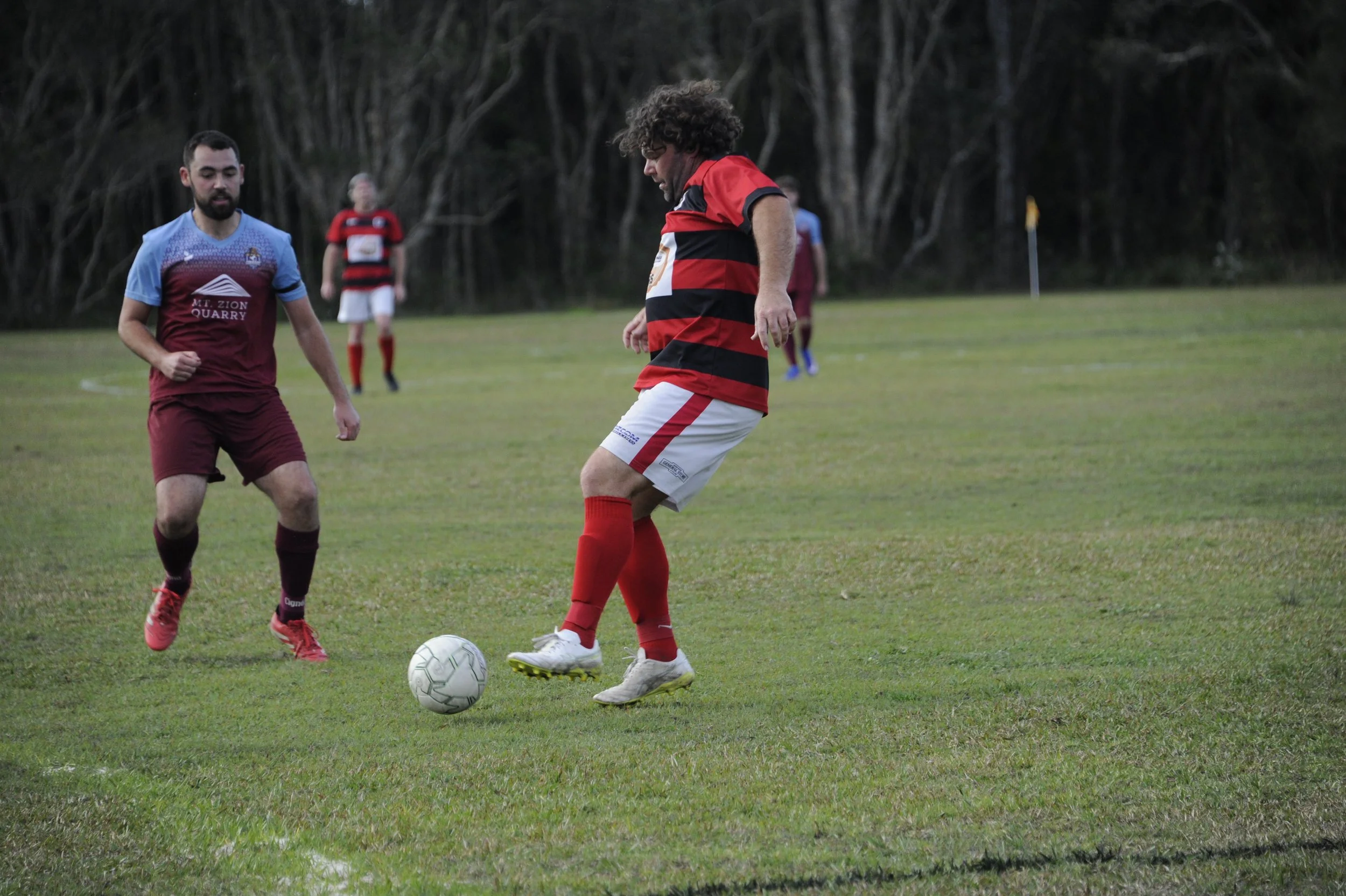 _DSC0800.JPG
