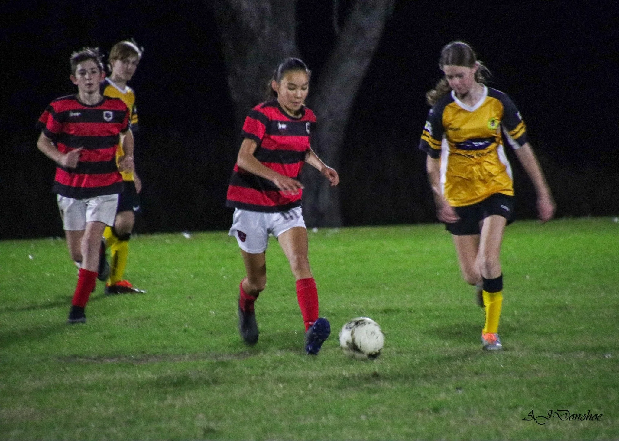 U13/14's 
Yuraygir United Bears x Westlawn Panthers
August 2024
2 - 0 to Westlawn
Images via NCF 