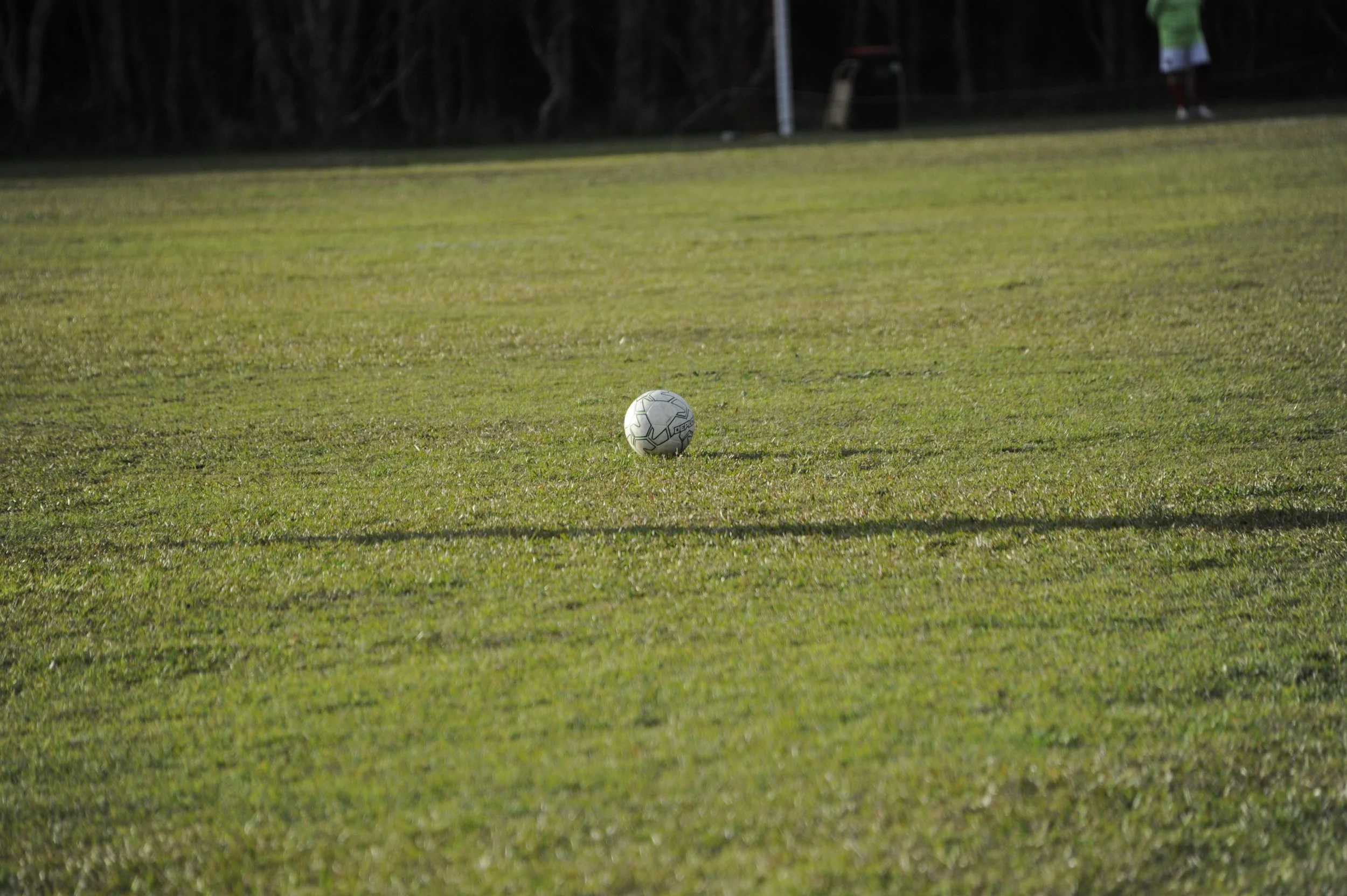 _DSC0885.JPG