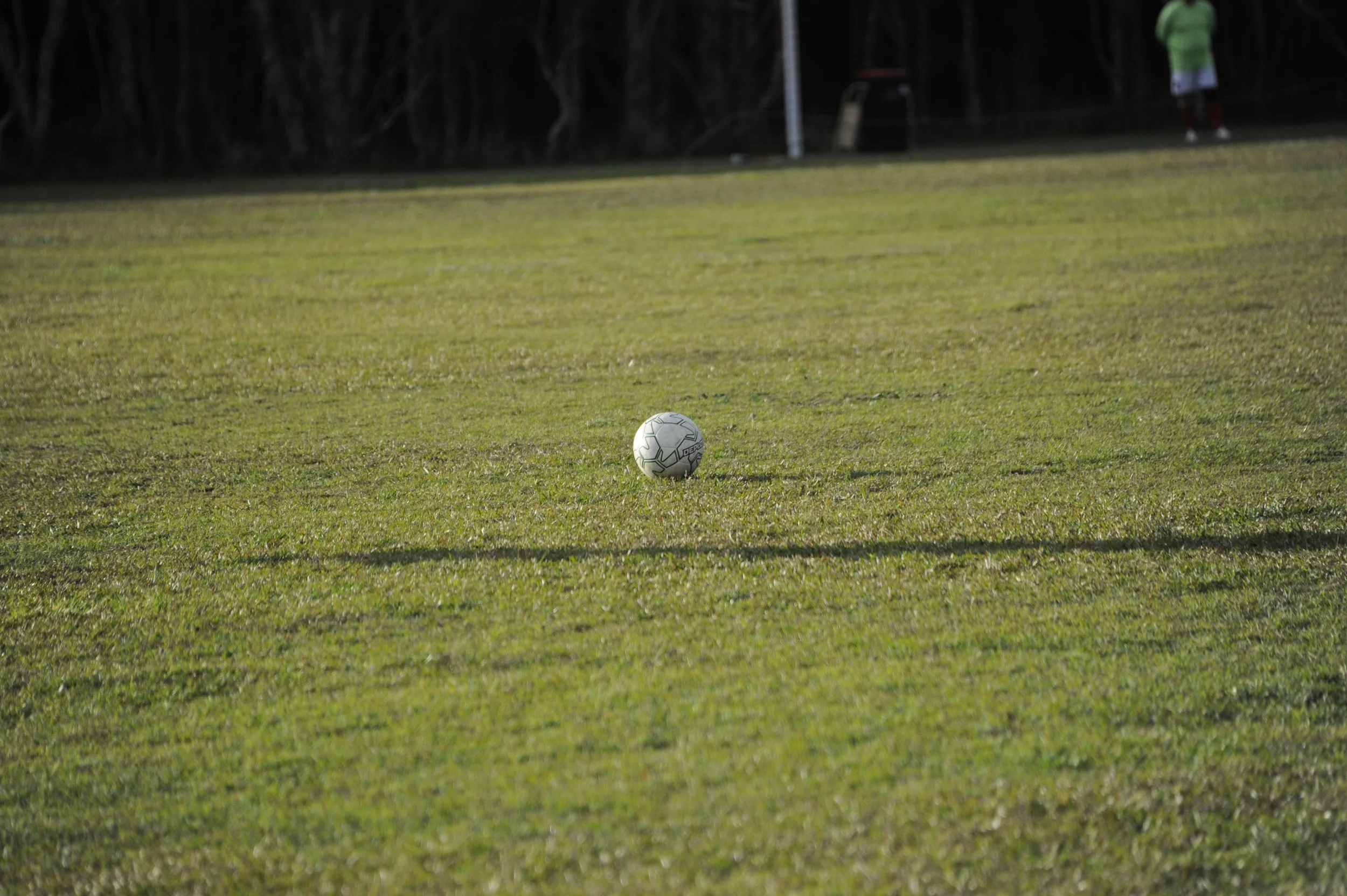 _DSC0886.JPG