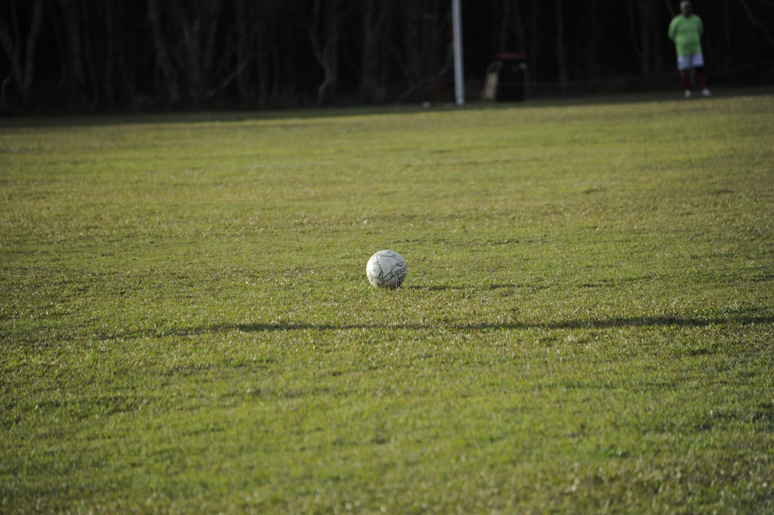 _DSC0887.JPG