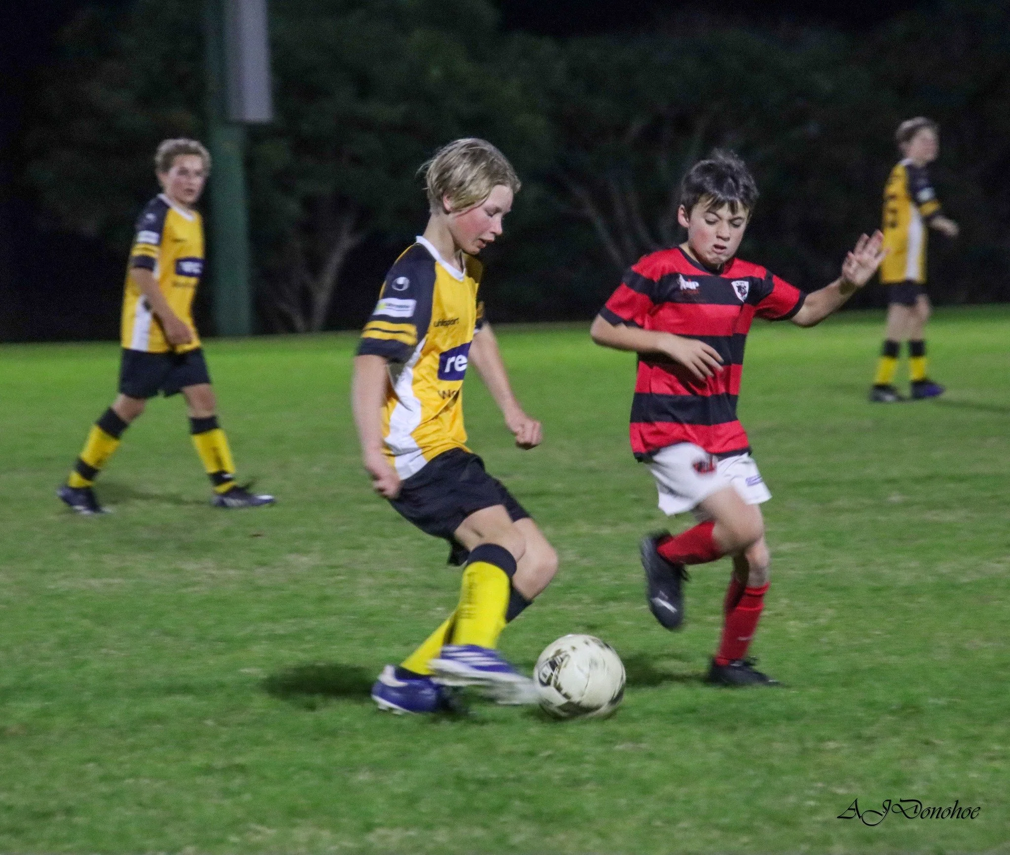 U13/14's 
Yuraygir United Bears x Westlawn Panthers
August 2024
2 - 0 to Westlawn
Images via NCF 