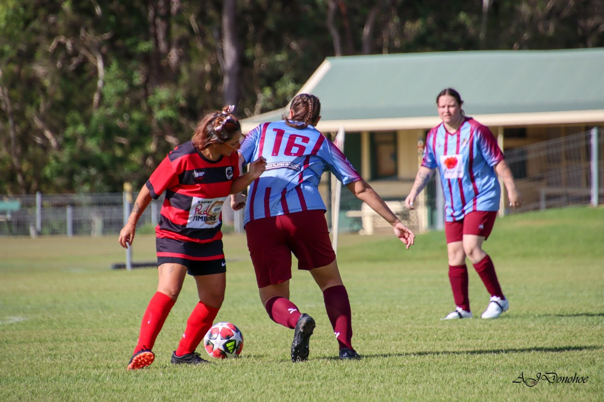 2025 Women's Pre Season Match
Images via NCF
Coutts Crossing Cougars v Yuraygir Bears
March 2025