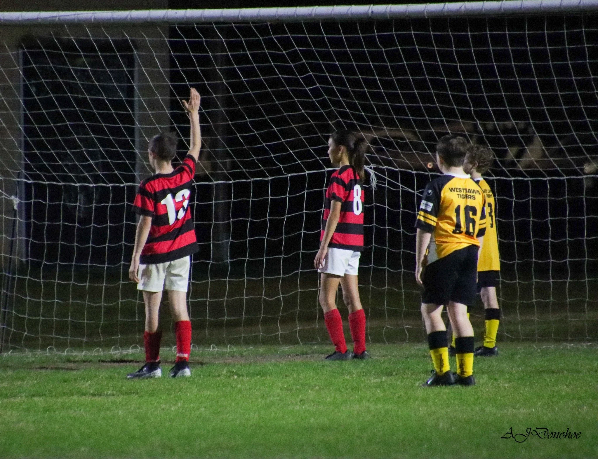 U13/14's 
Yuraygir United Bears x Westlawn Panthers
August 2024
2 - 0 to Westlawn
Images via NCF 