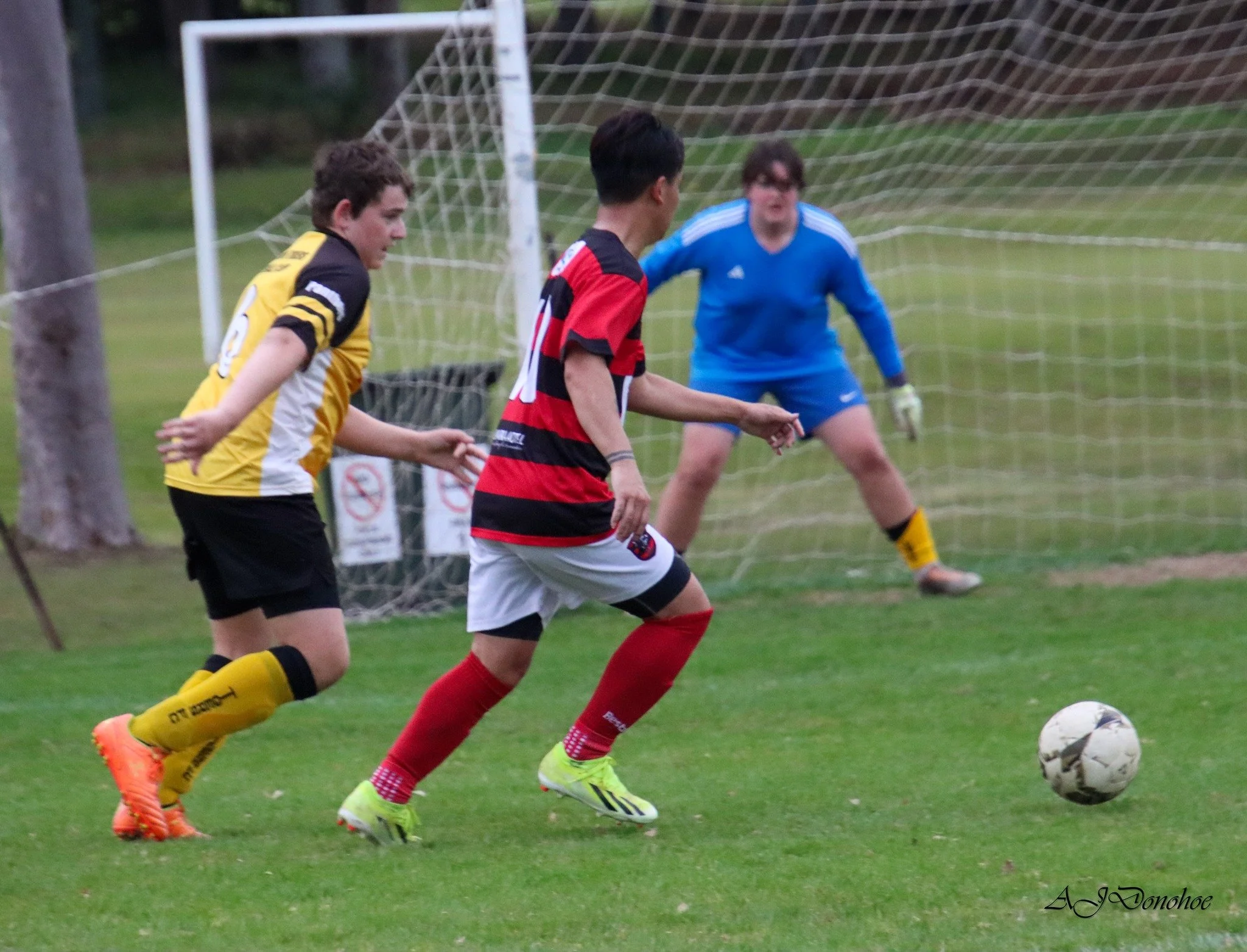 Images via NCF
Yuraygir United vs Westlawn Tigers 
August 2024
Men's 3rd Division
5 - 1 to Yuraygir Bears
