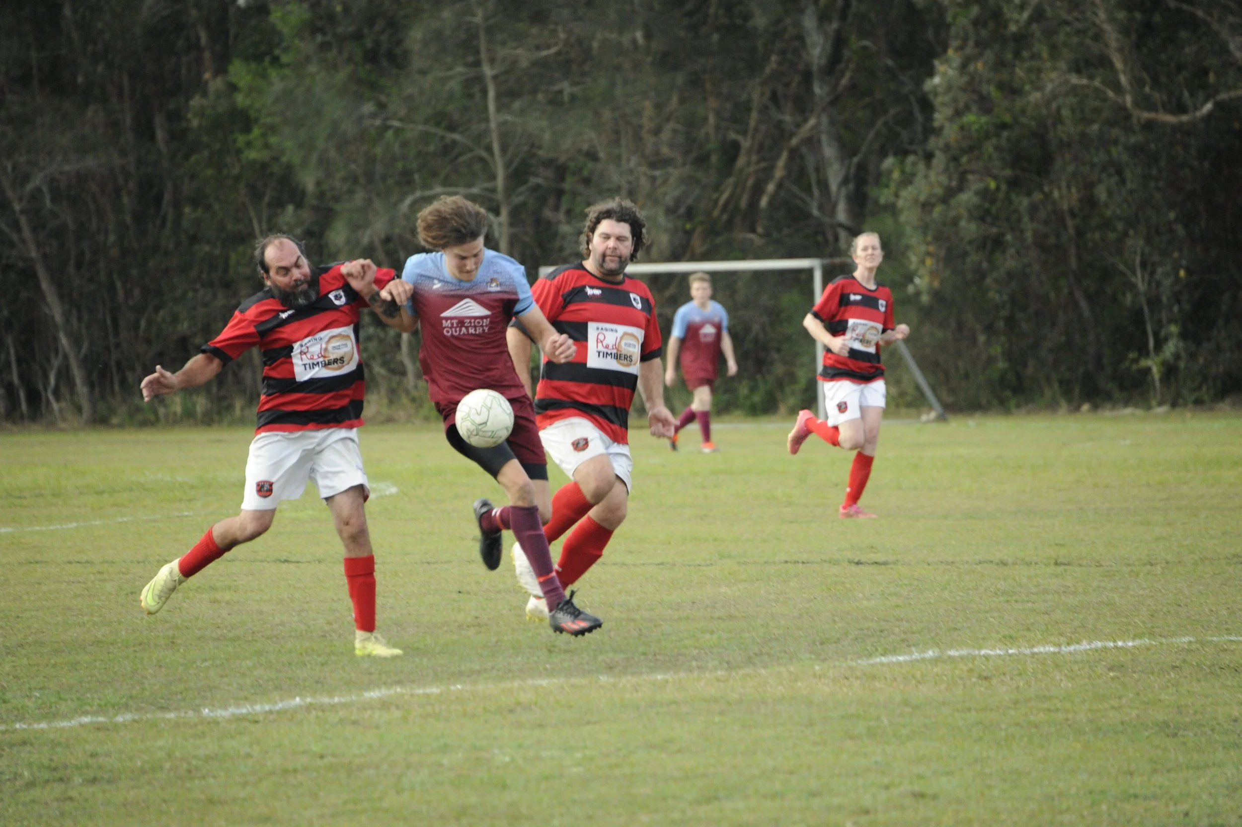 _DSC0812.JPG