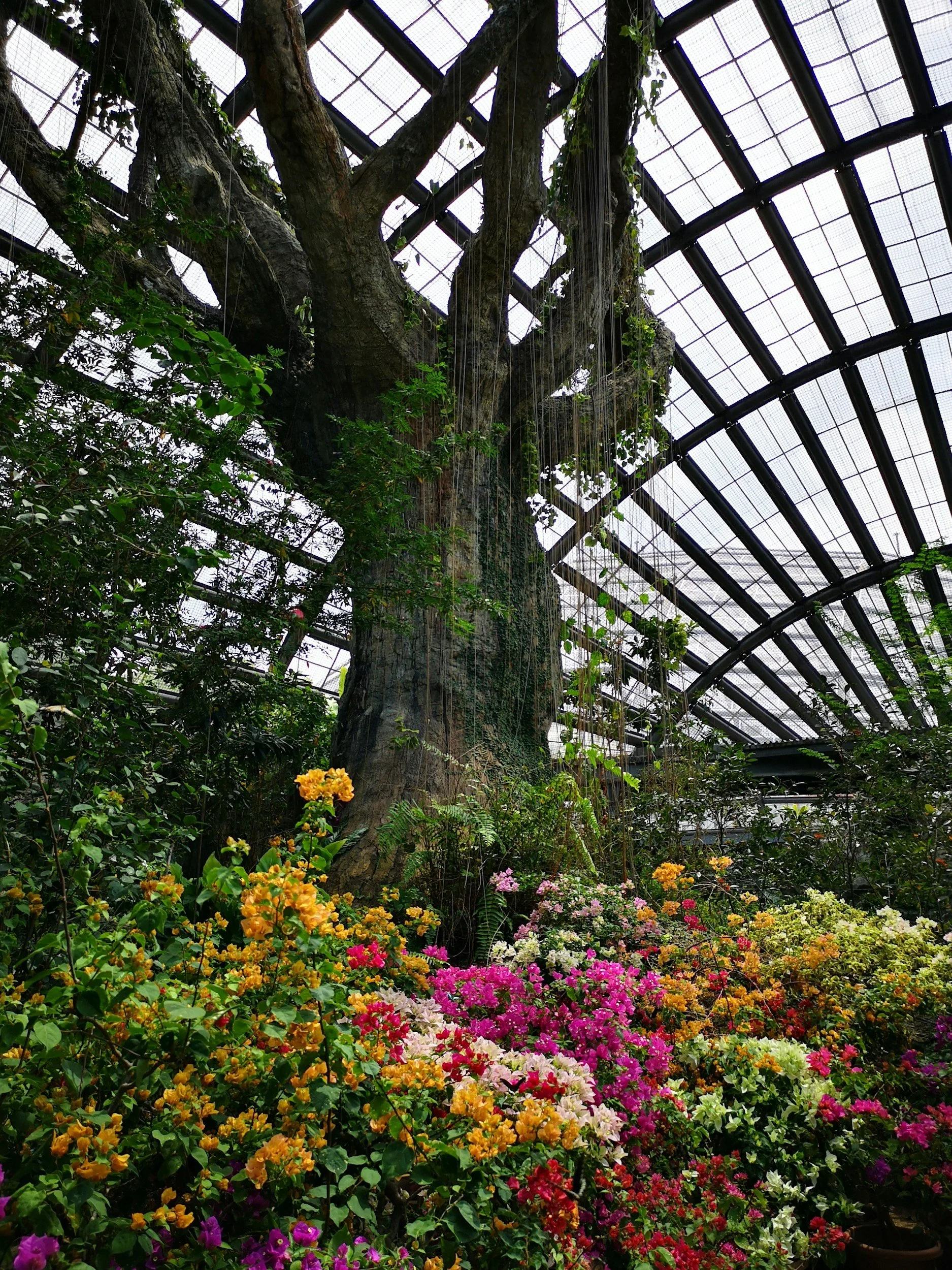 Butterfly Garden, Landscaping