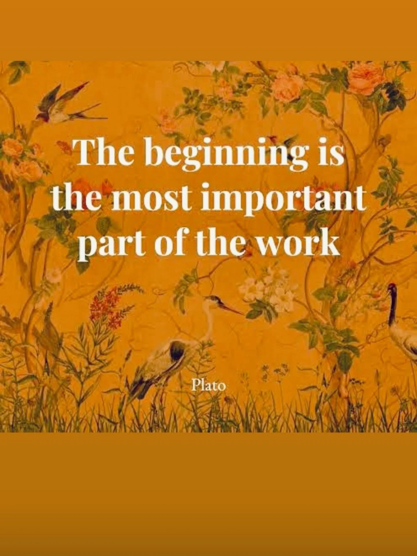 There&rsquo;s a quiet magic in the moment we choose to start.
Not when everything is perfect.
Not when we feel fully ready.
But when something inside whispers now. Honour yourself first, Mumma. Your inner world is the birthplace of all new beginnings