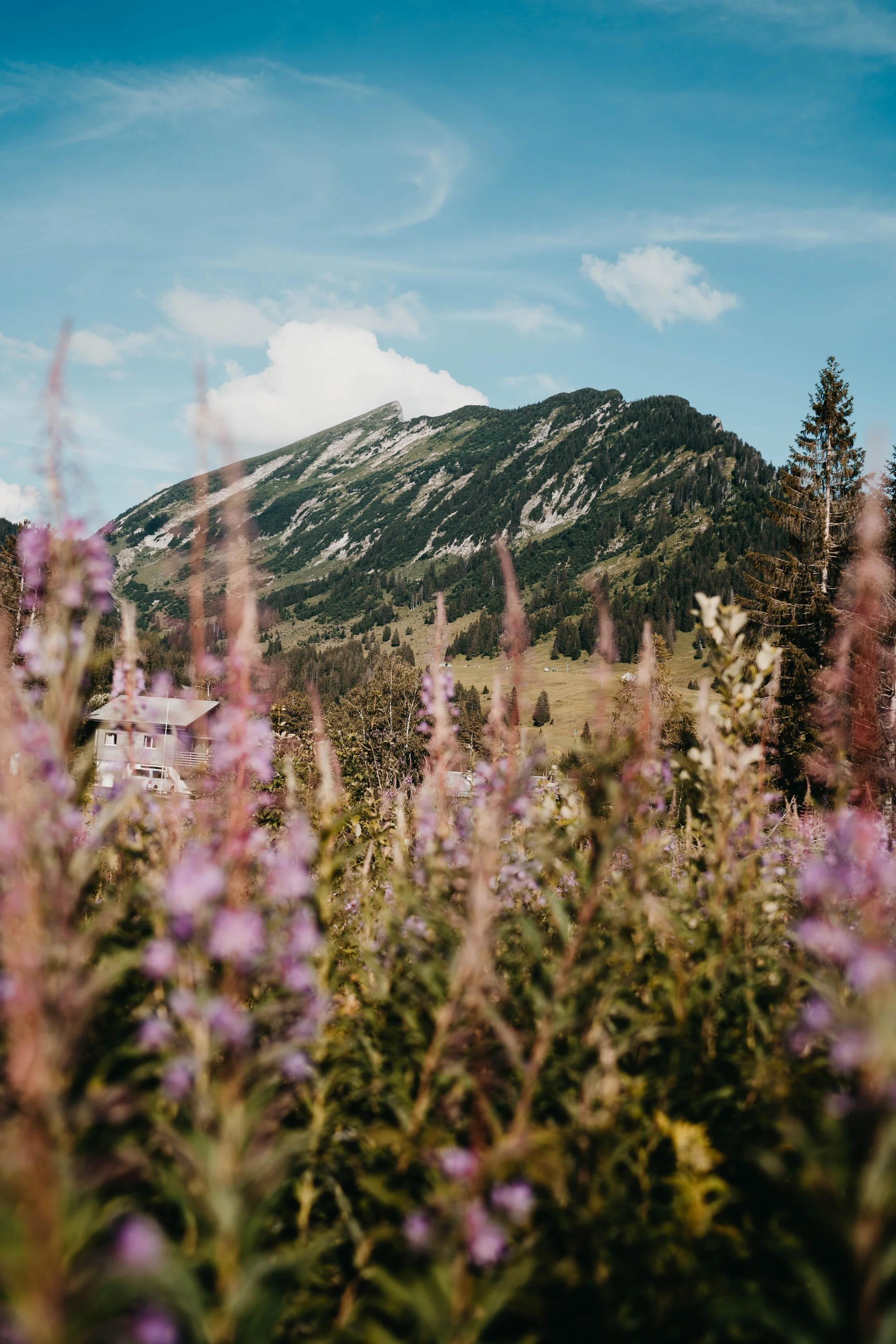 Visuals für Amden Weesen Tourismus