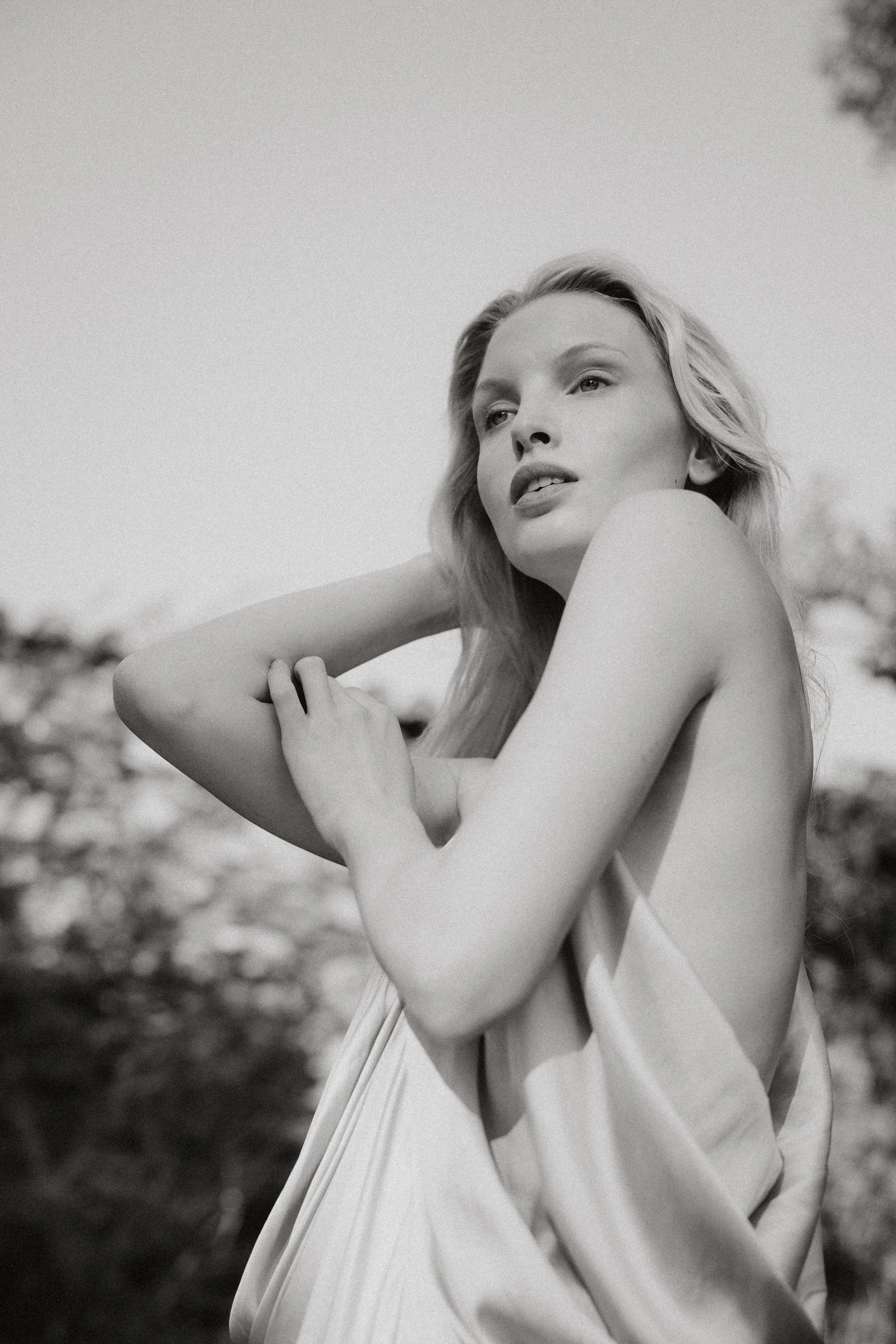 Sony Kando Alps 2025