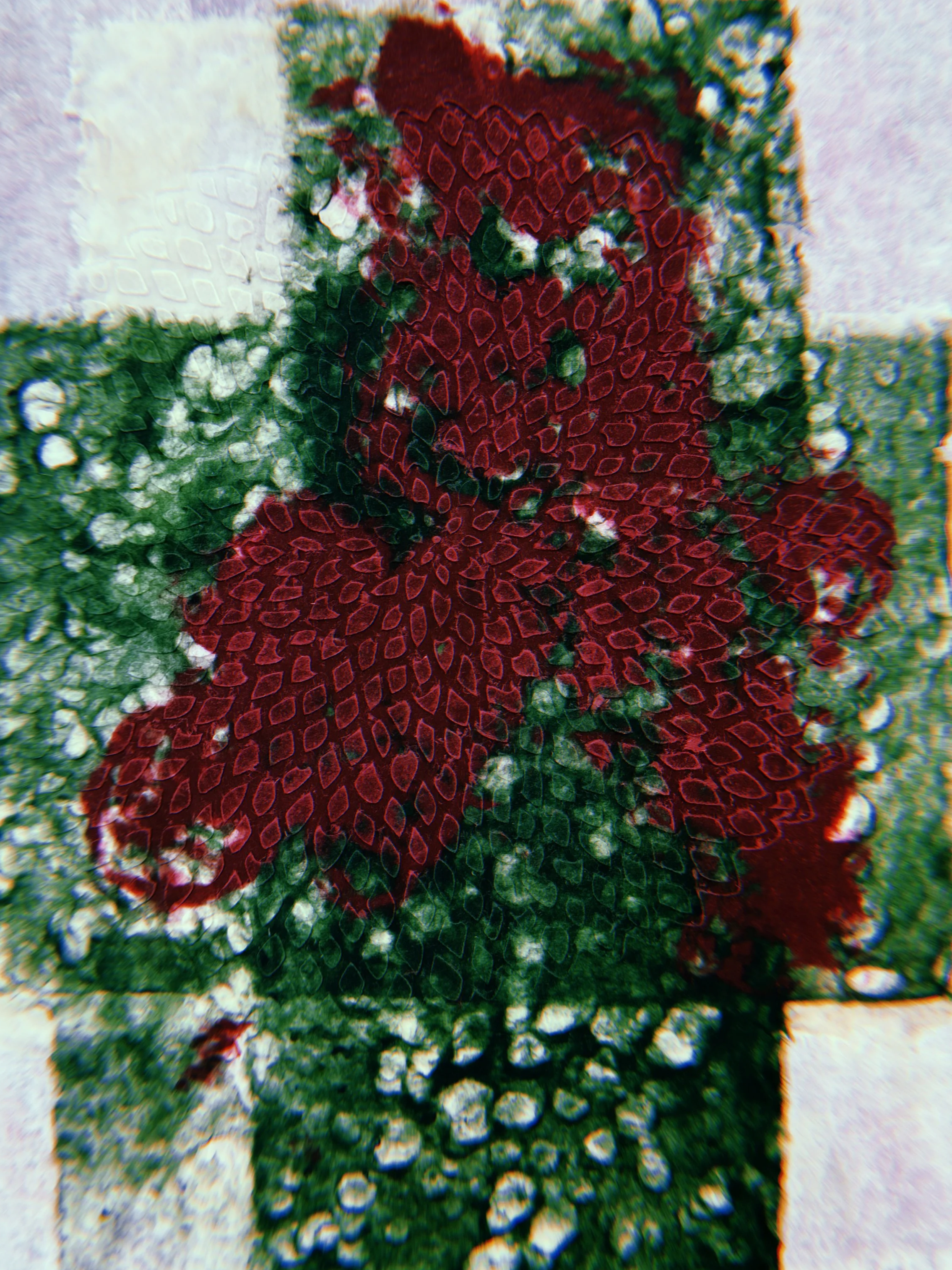 'Untitled', coloured paper pulp, 12 x 16 in, 2024