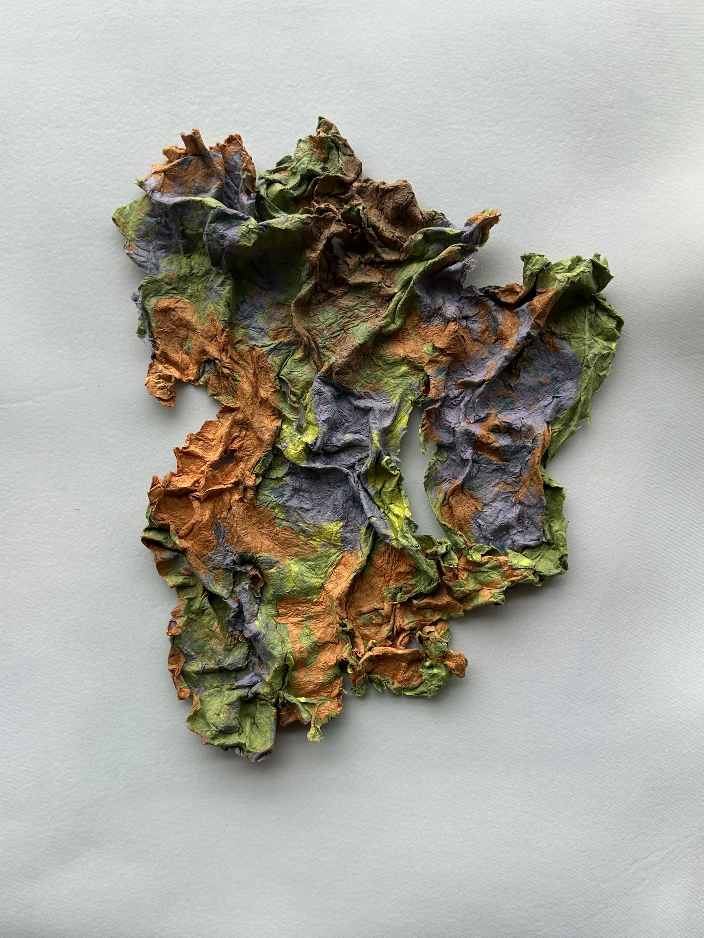 'Untitled', coloured paper pulp, 6 x 8 in, 2024