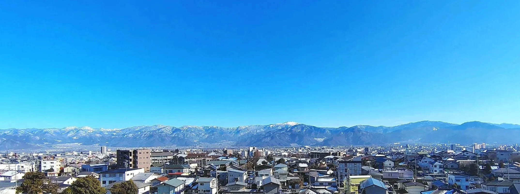 IMG_20260204_142226541_HDR.jpg