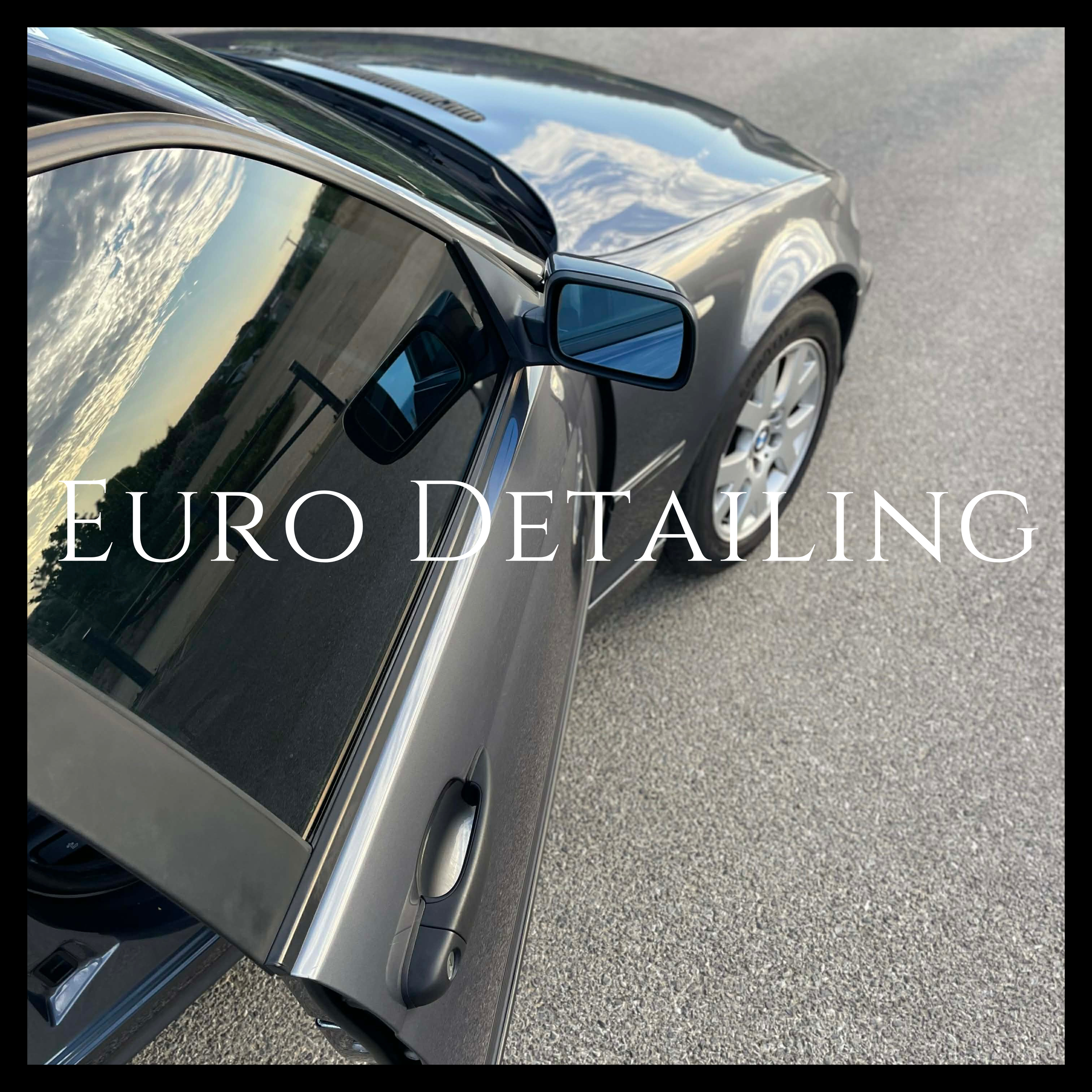 EURO DETAILING SERVICE