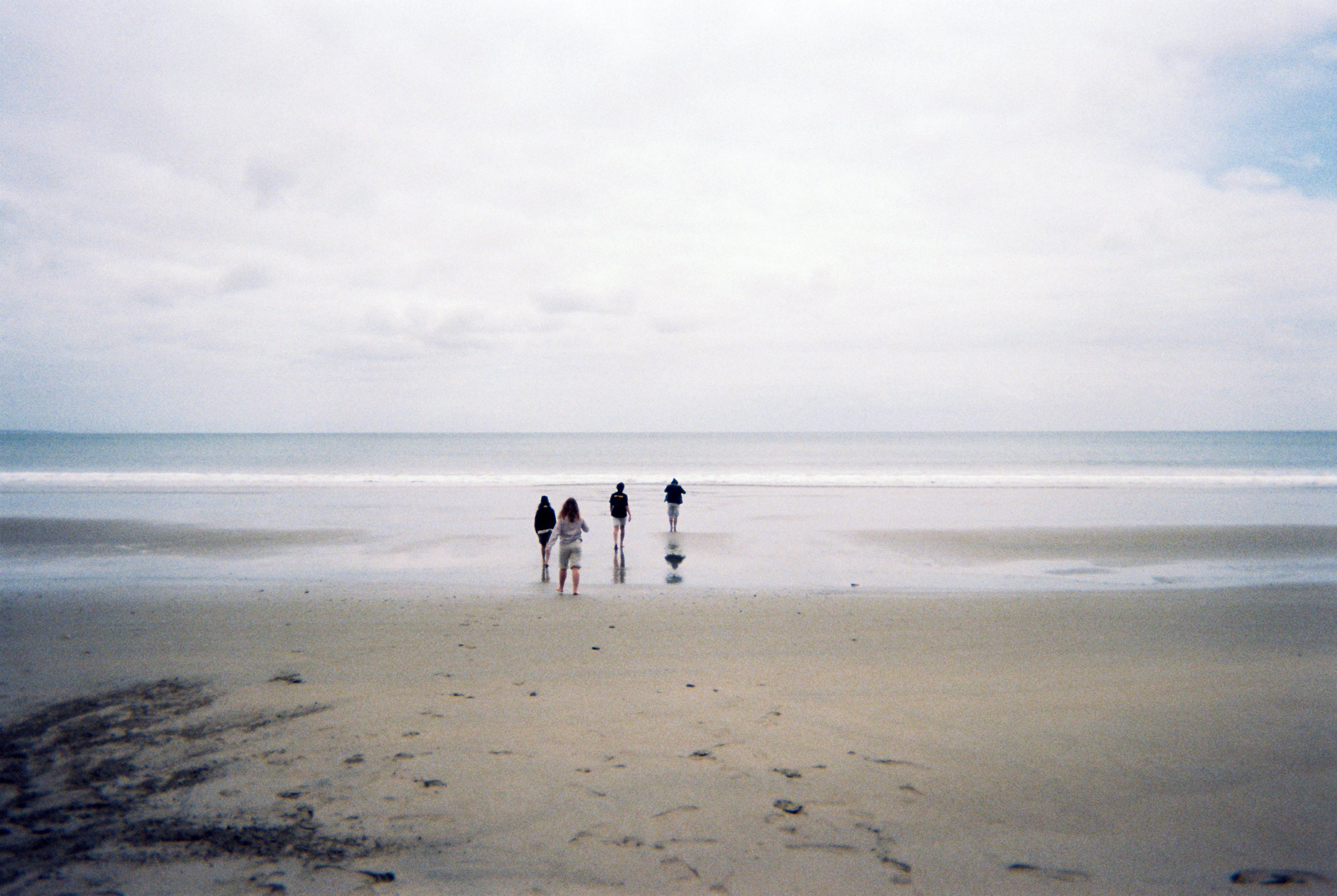 Fujifilm disposable camera (2025)
Point Reyes, USA