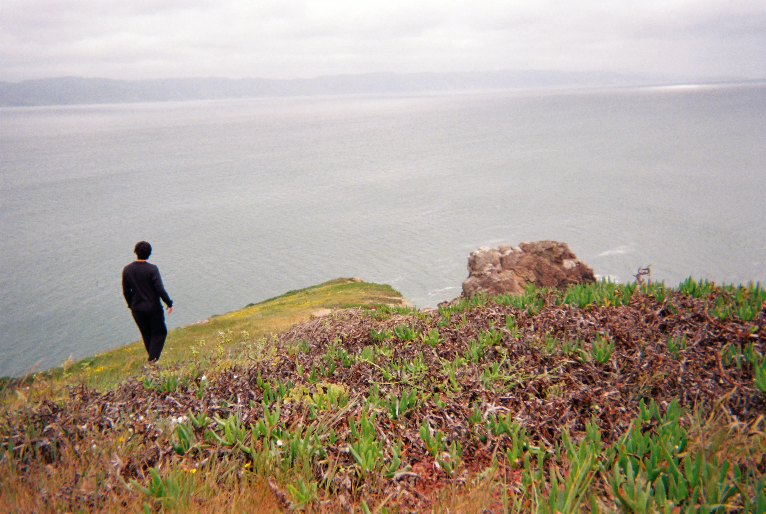 Fujifilm disposable camera (2025)
Point Reyes, USA