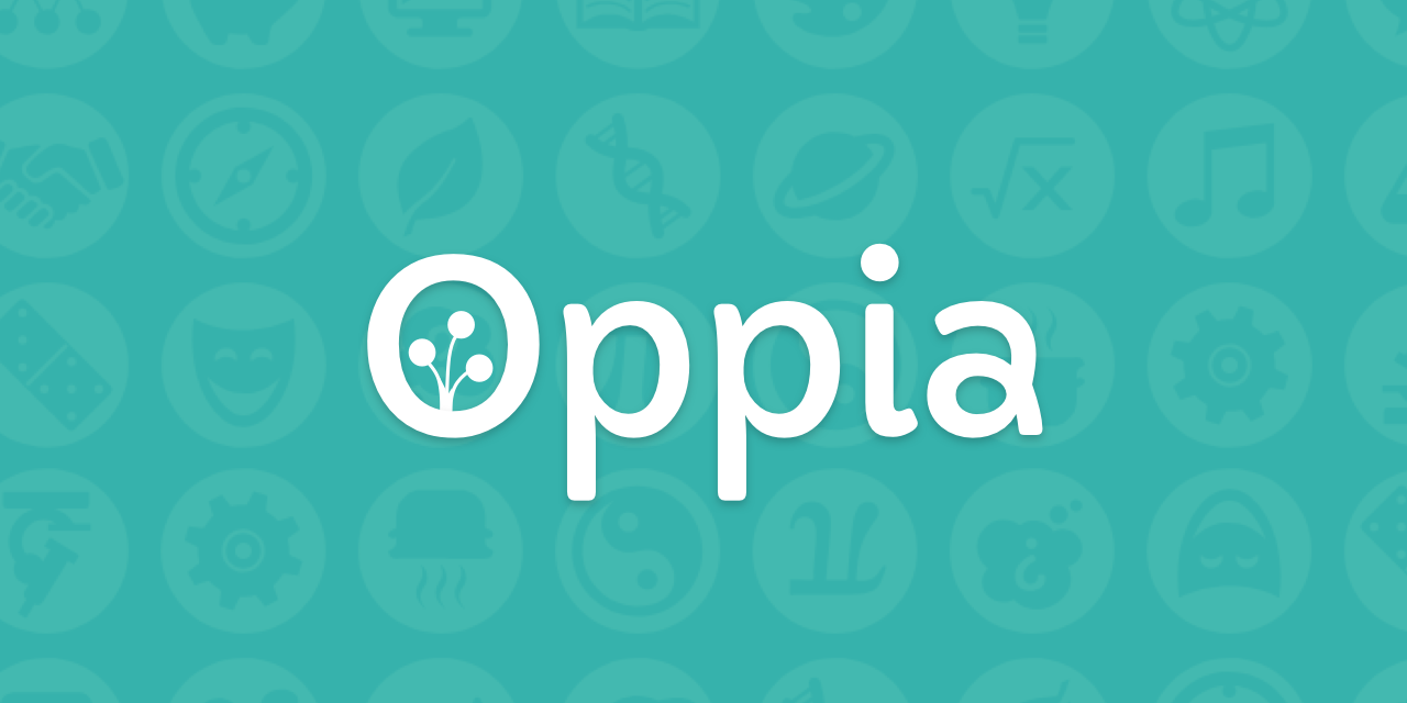 Organizational Analysis: The Oppia Foundation