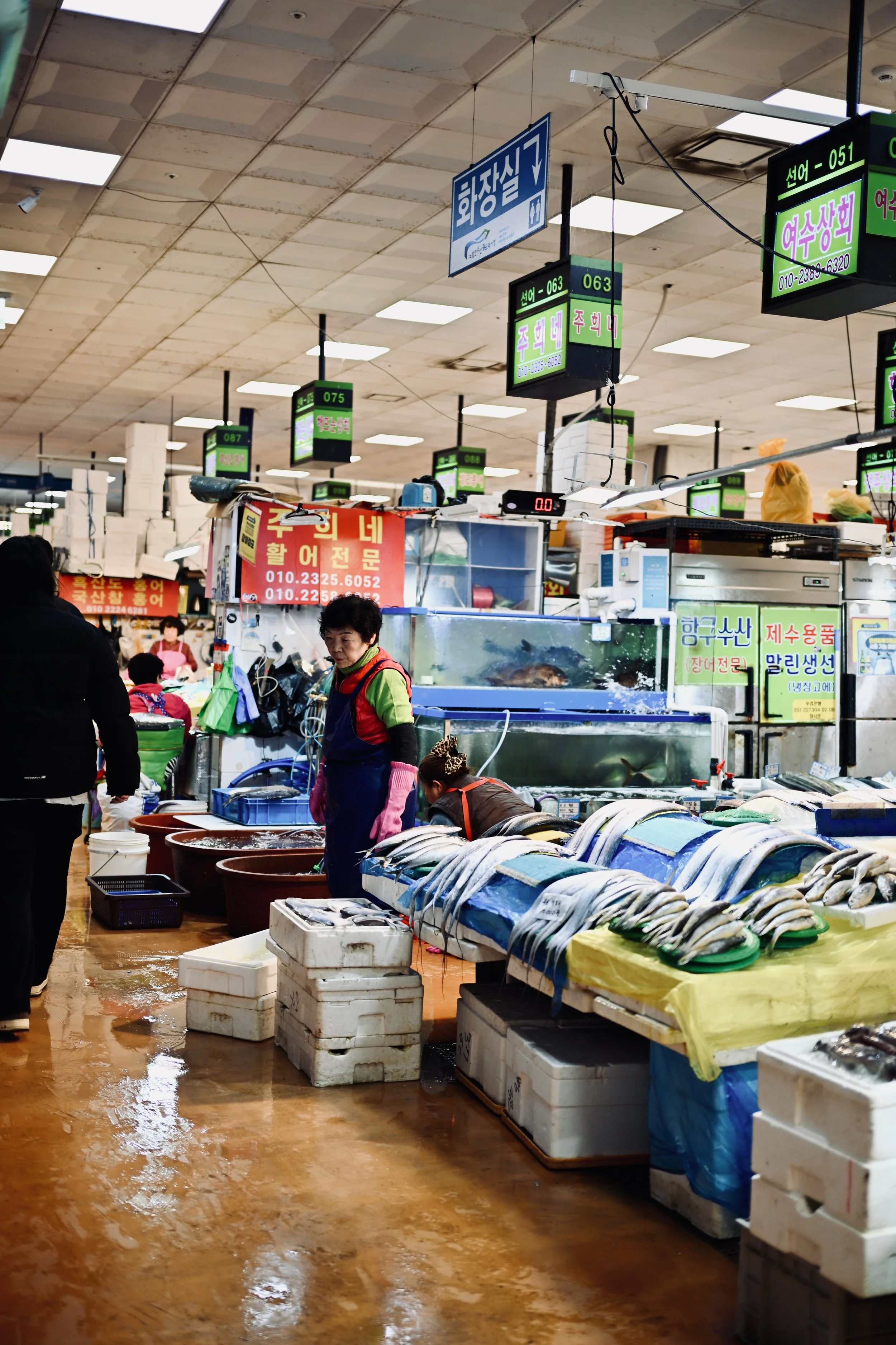 Nikon Zf 40mm (2025)
Noryangjin Fish Market, South Korea