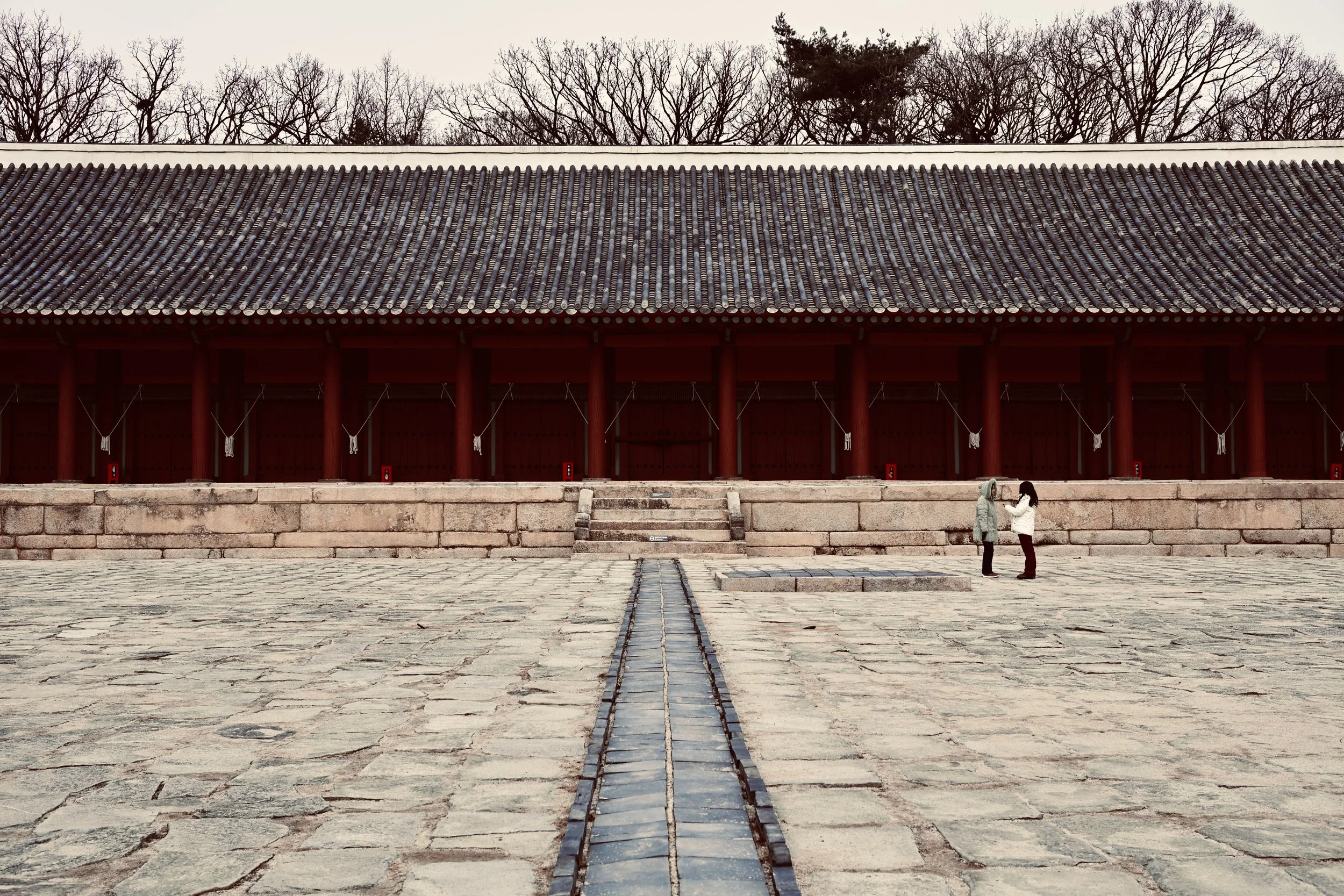 Nikon Zf 40mm (2025)
South Korea