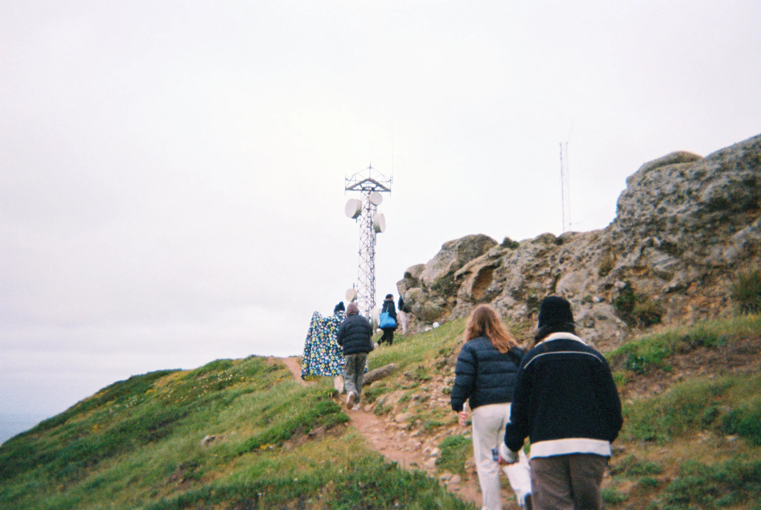 Fujifilm disposable camera (2025)
Point Reyes, USA