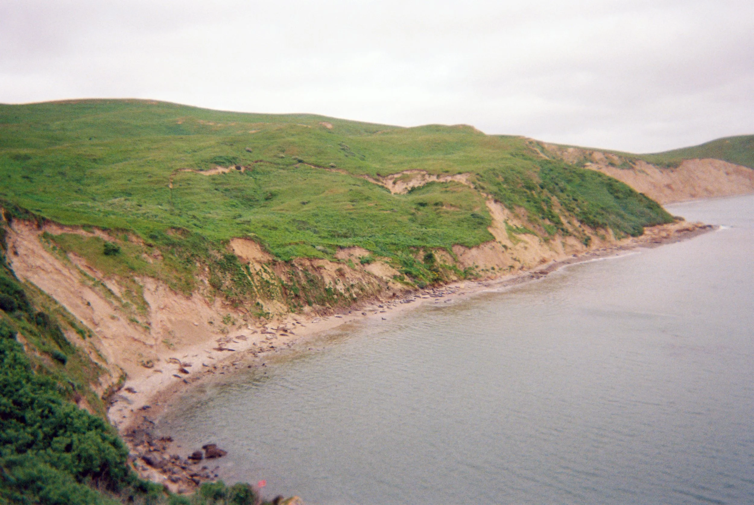 Fujifilm disposable camera (2025)
Point Reyes, USA
