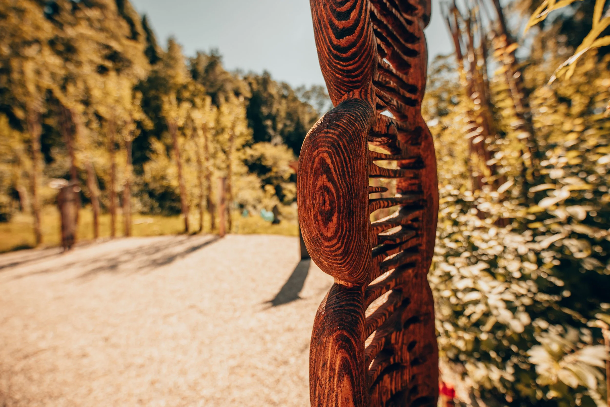 Detailaufnahme eines kunstvoll geschnitzten Holzes in einem Park bei Sonnenlicht, mit Bäumen im Hintergrund.