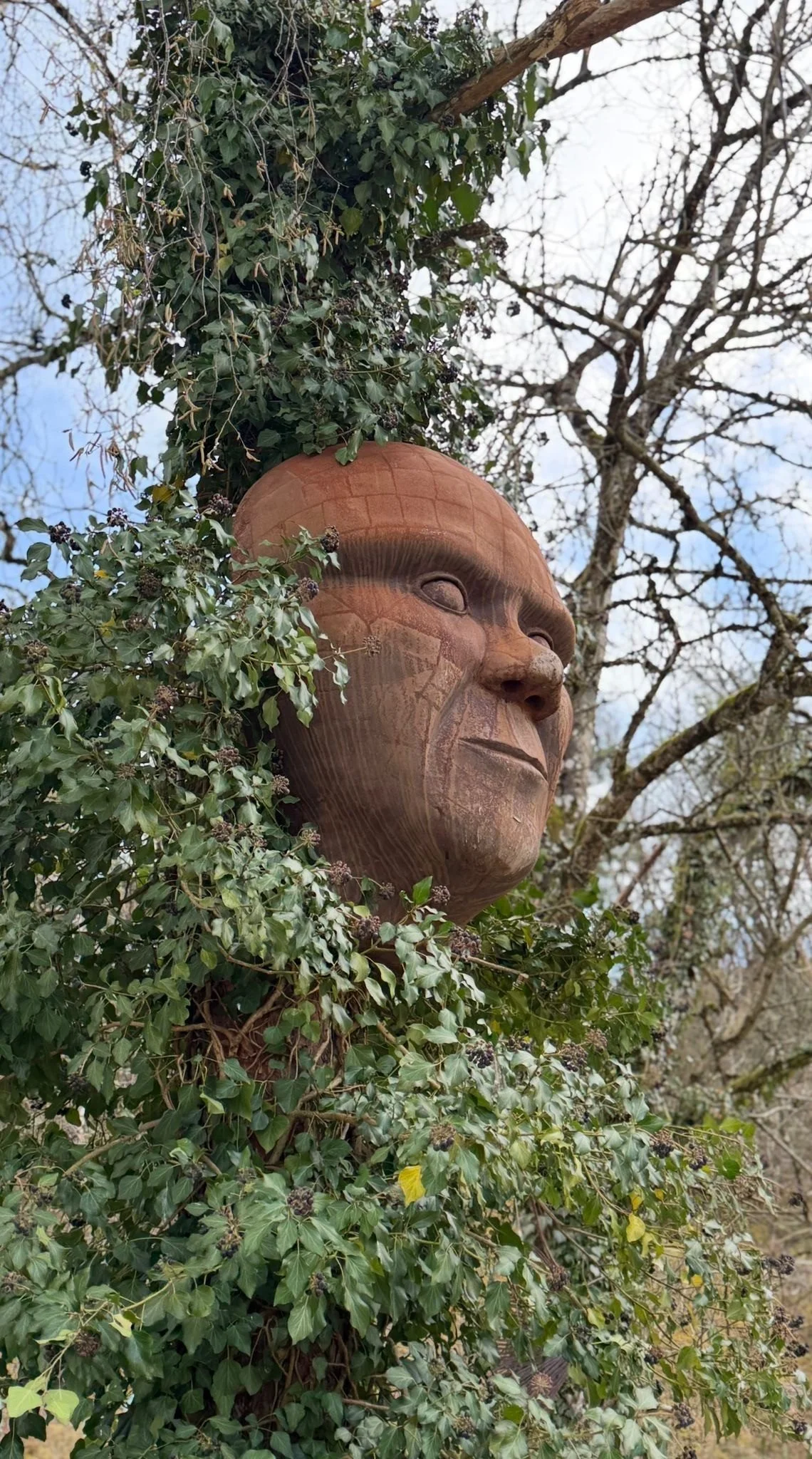 Eine grosse Skulptur eines menschlichen Gesichts, teilweise von grünen Pflanzen und Zweigen bedeckt, vor einem Himmel mit Wolken.
