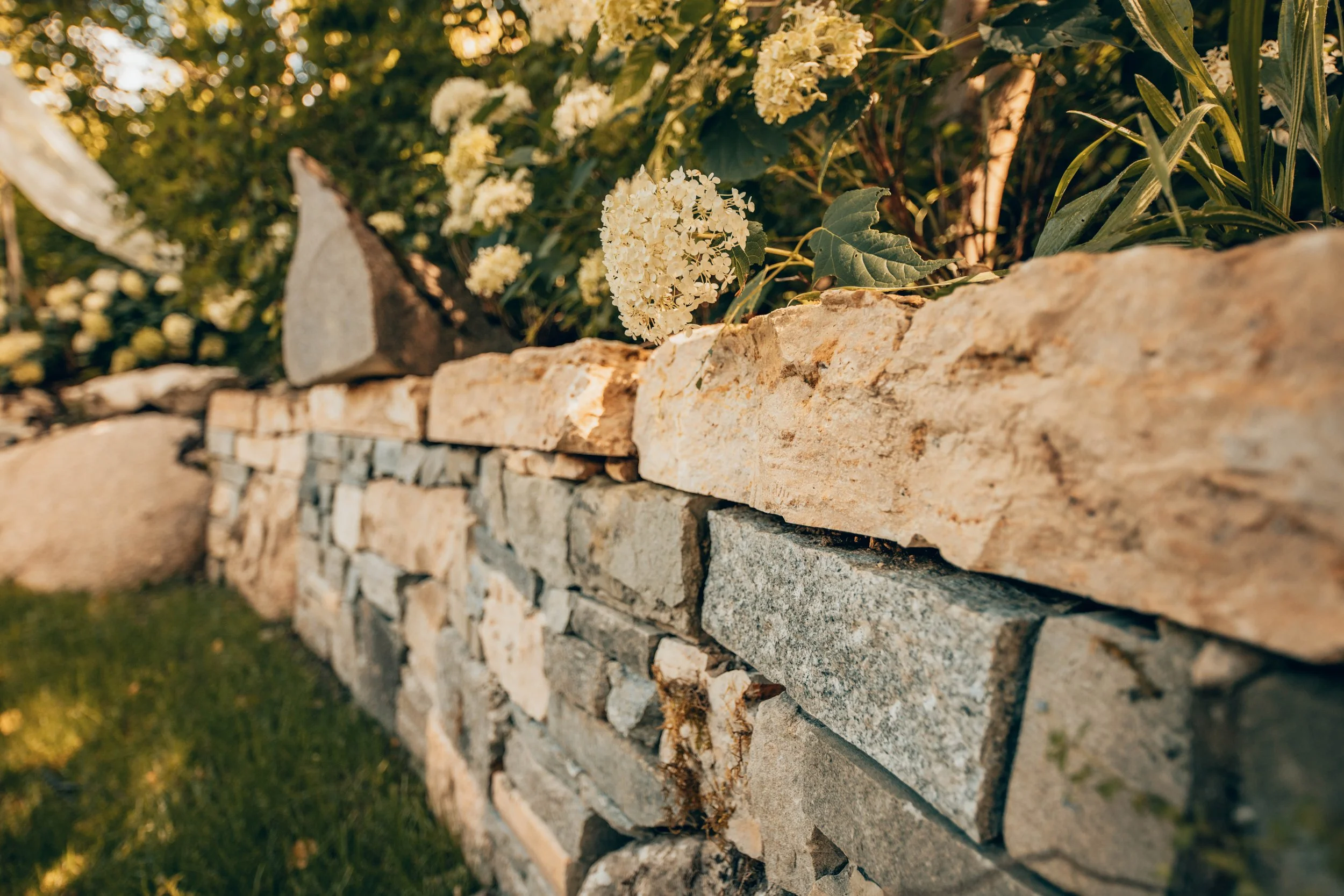 Nahaufnahme einer Steinmauer mit weissen Blumen und grünen Blättern im Hintergrund, Sonnenlicht.