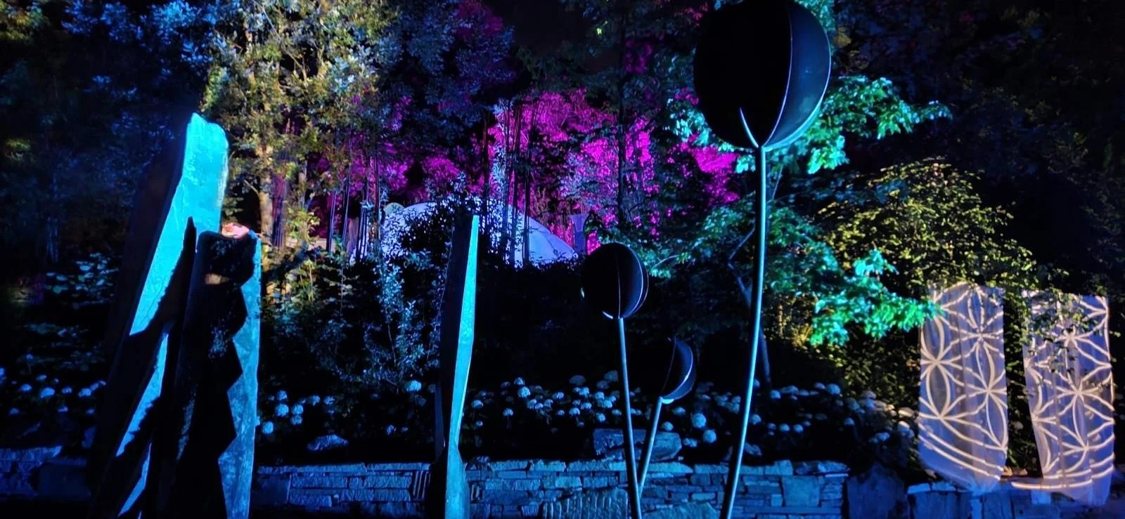 Blaue, schwarze und farbige Lichtinstallationen auf einem nächtlichen Baumpark mit Pflanzen, Blüten und Skulpturen.