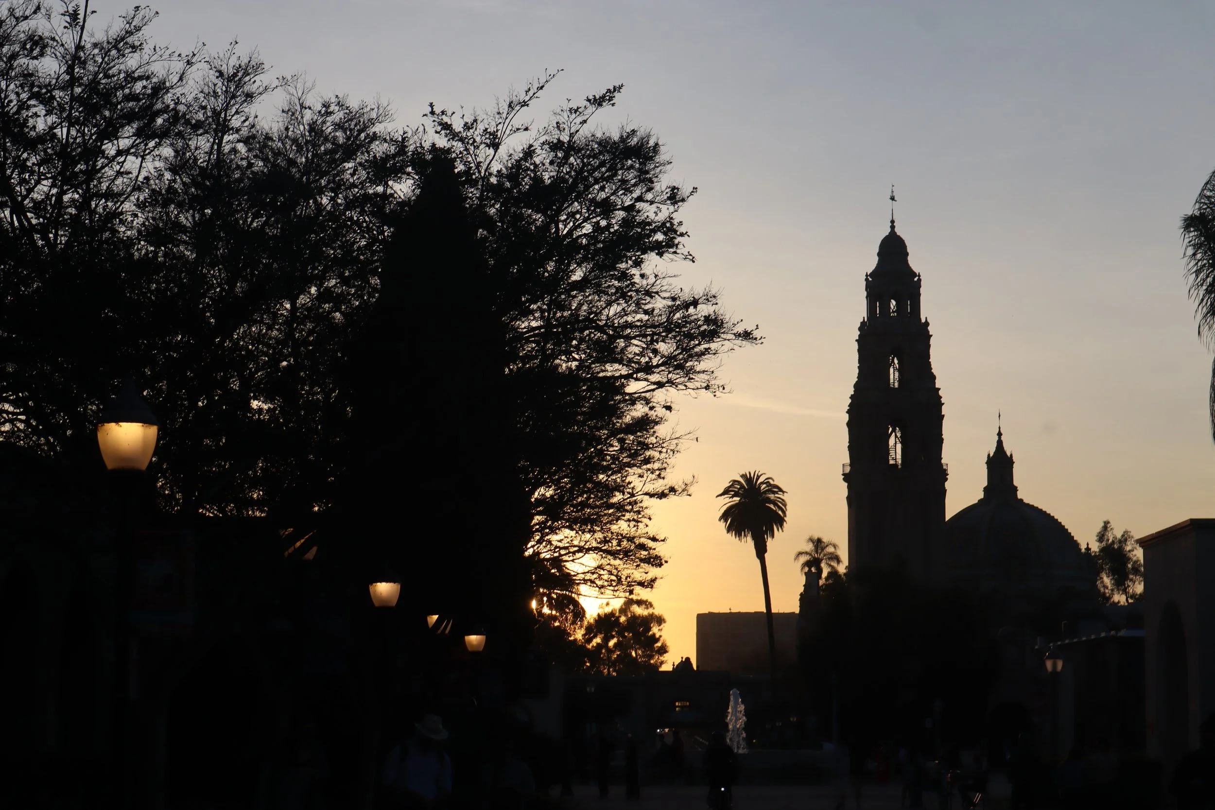 The Built & The Botanical