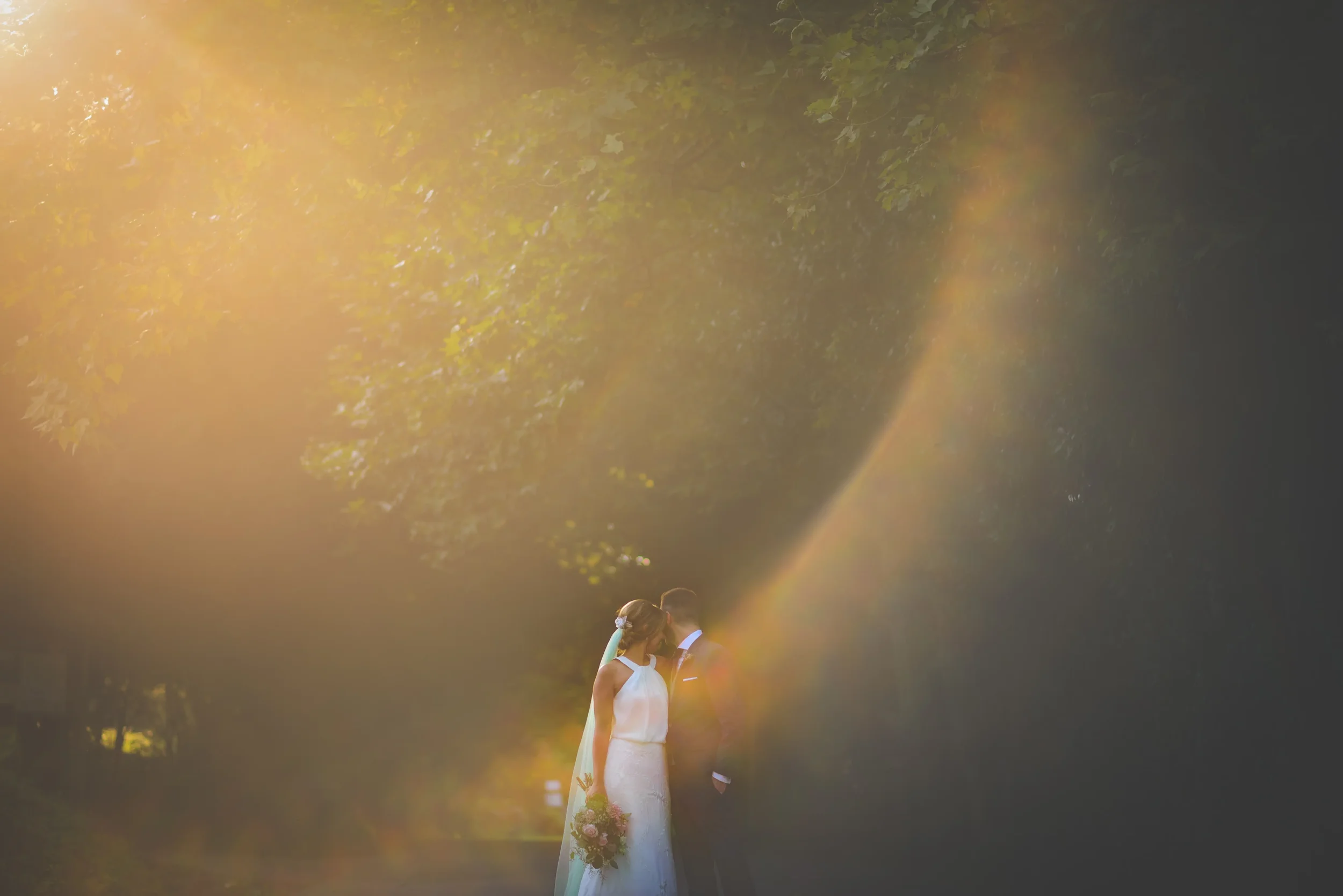 Una pareja de novios en una boda, abrazados y besándose, en la naturaleza asturias