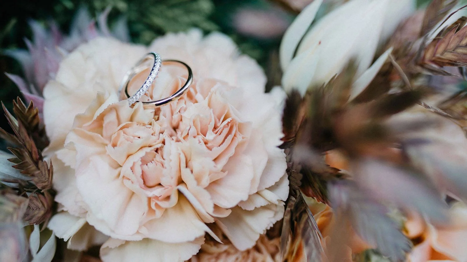 Wedding Rings Resting on a Blush Carnation