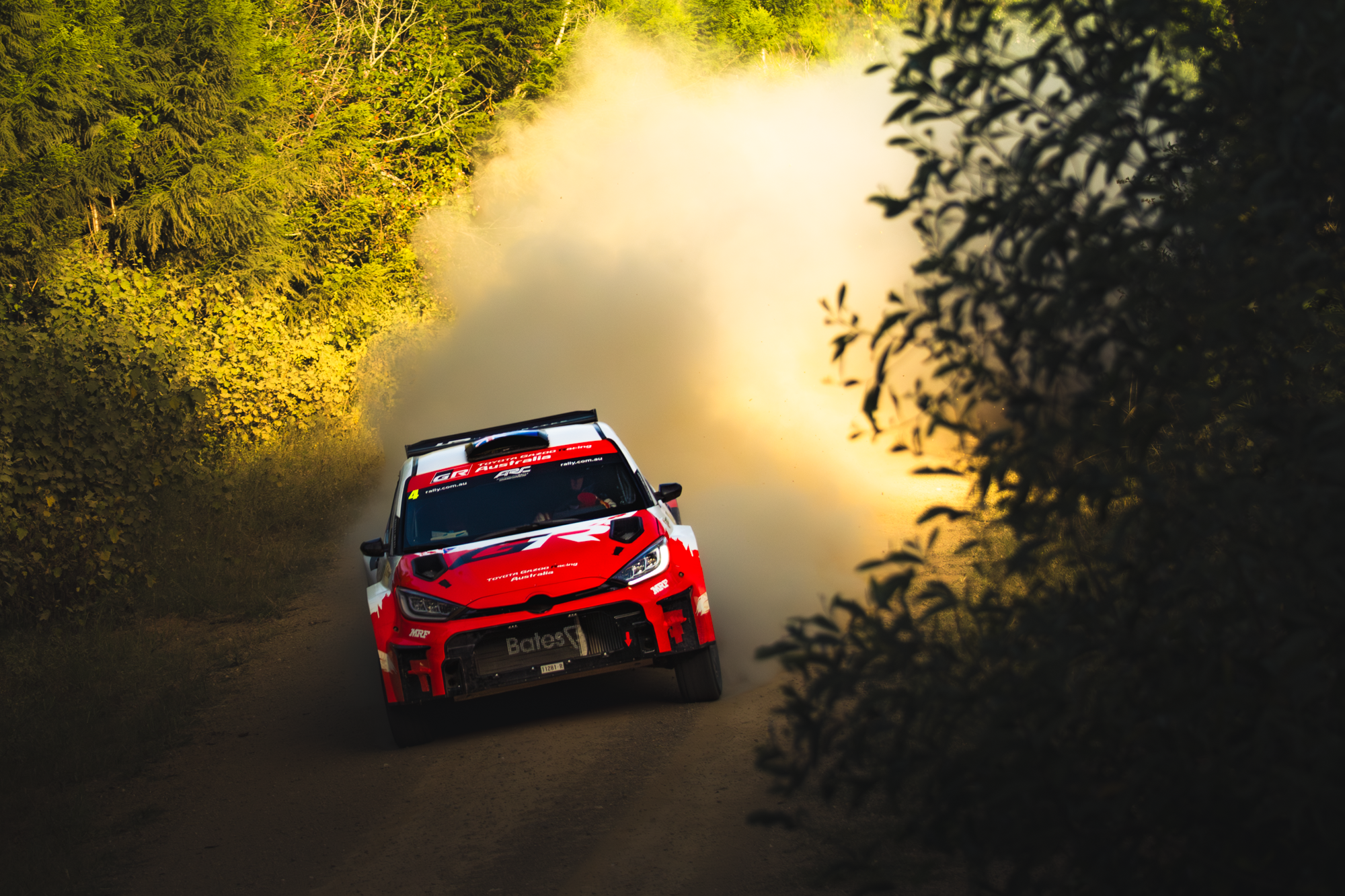 A red and white rally car speeding on a dirt road surrounded by greenery, with dust or smoke in the air and trees on both sides.