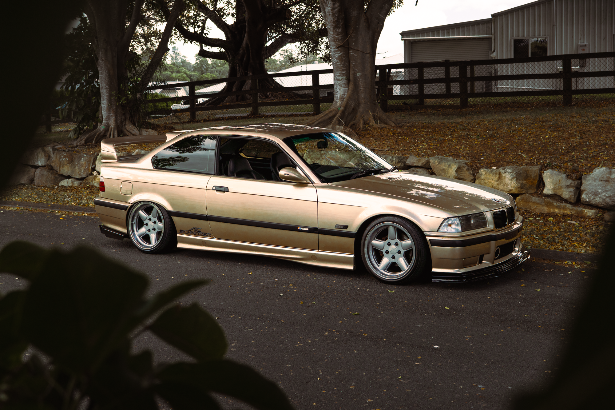DYLAN-PEREIRA-BMW-E36-00727.png