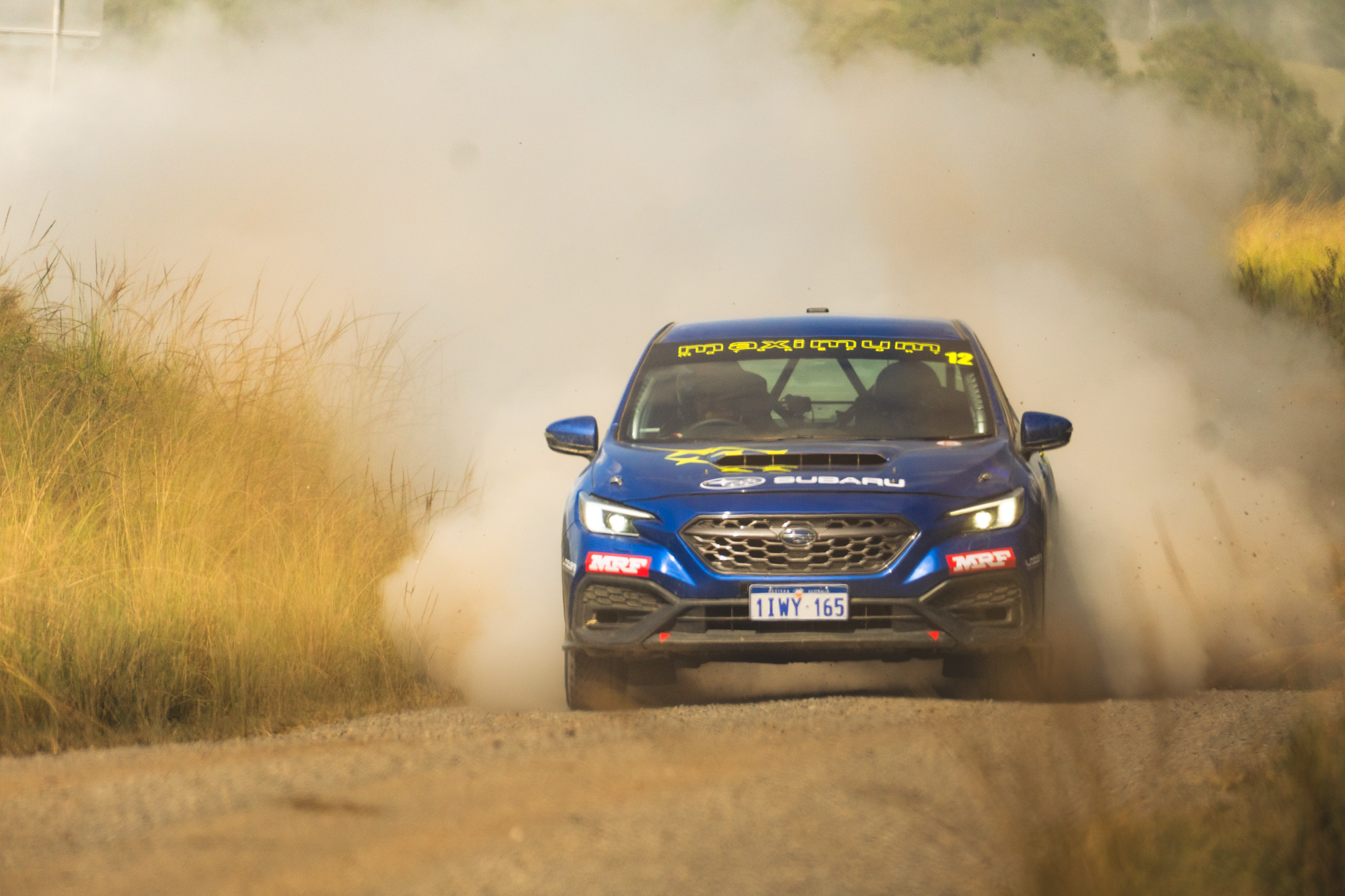 A blue rally car driving through a dirt road, kicking up a large cloud of dust, with grassy terrain on either side.