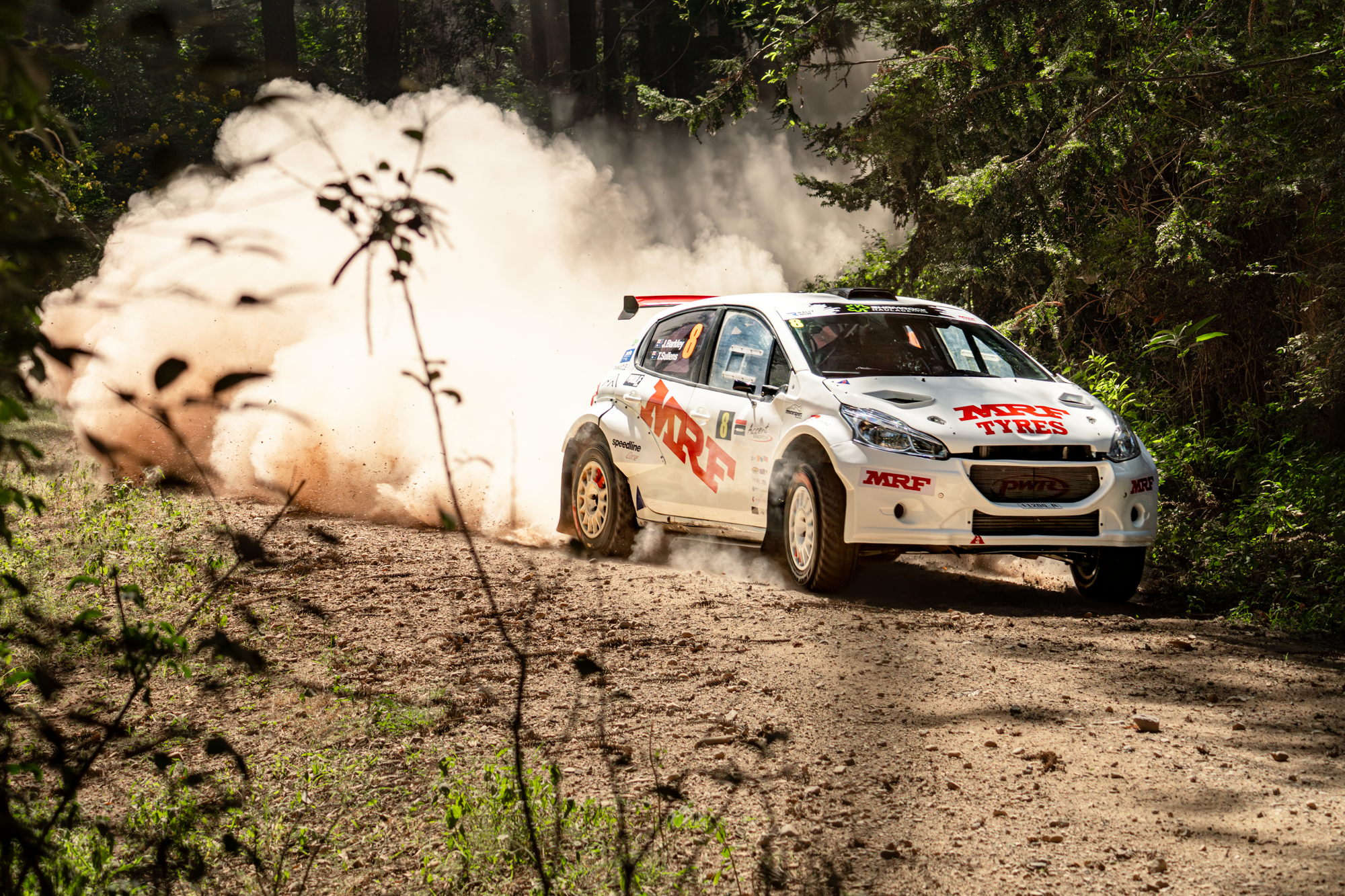 A white rally car with sponsor logos speeding on a dirt forest trail, kicking up dust and smoke.