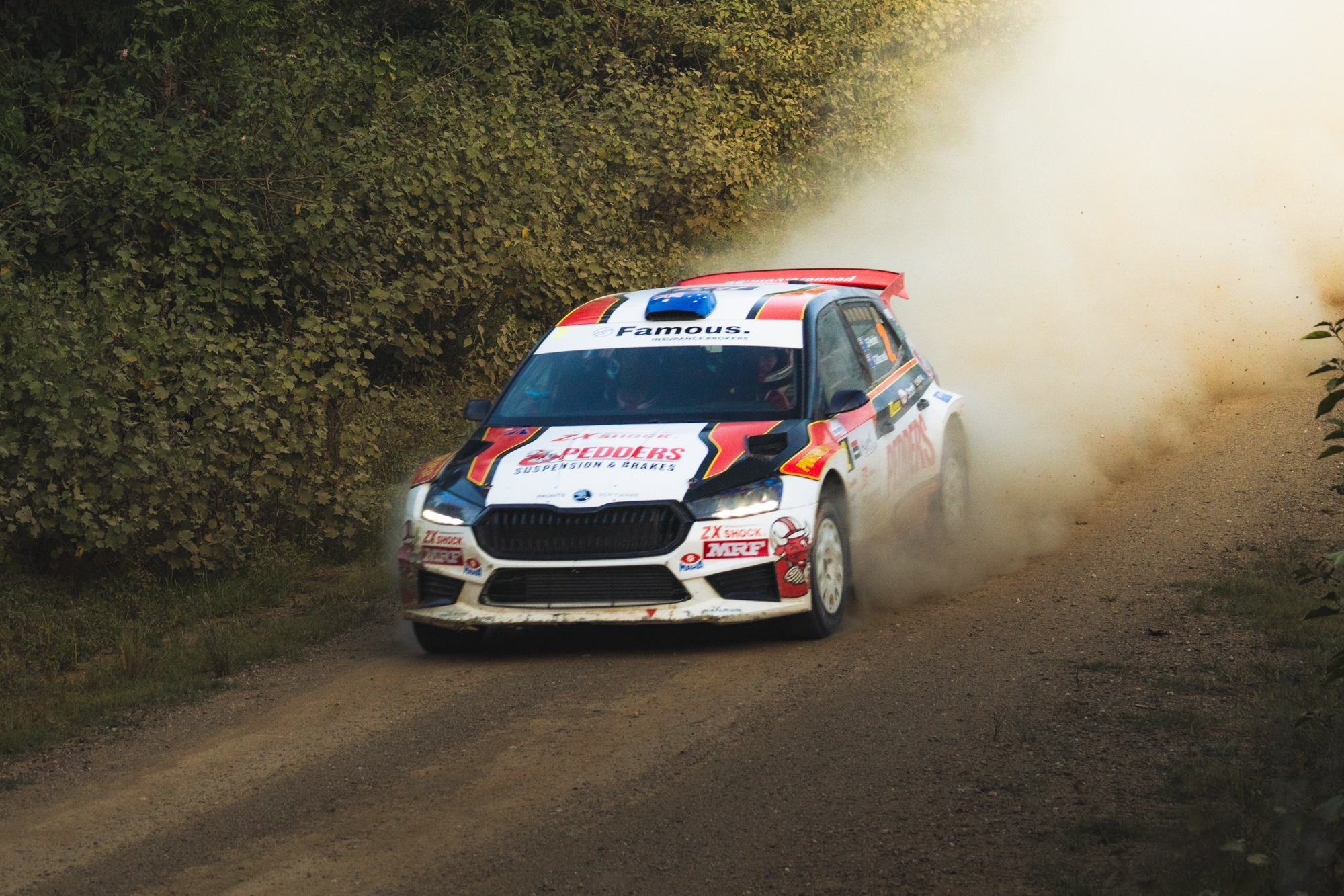A rally car speeding on a dirt road, kicking up dust and surrounded by green foliage.