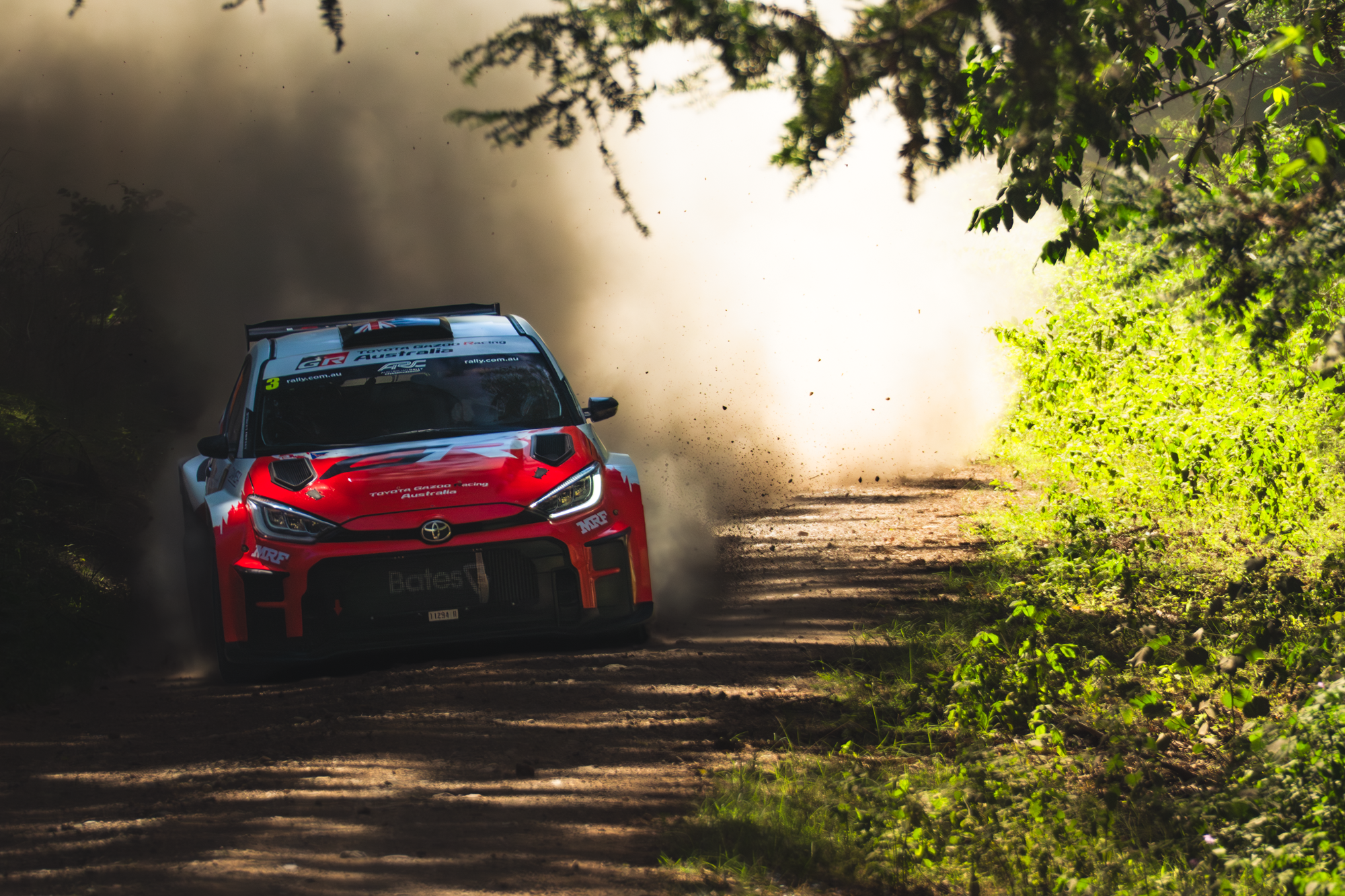 A bright red and black rally car speeding along a dirt forest trail, kicking up dust and dust clouds, surrounded by lush green trees and foliage in bright sunlight.