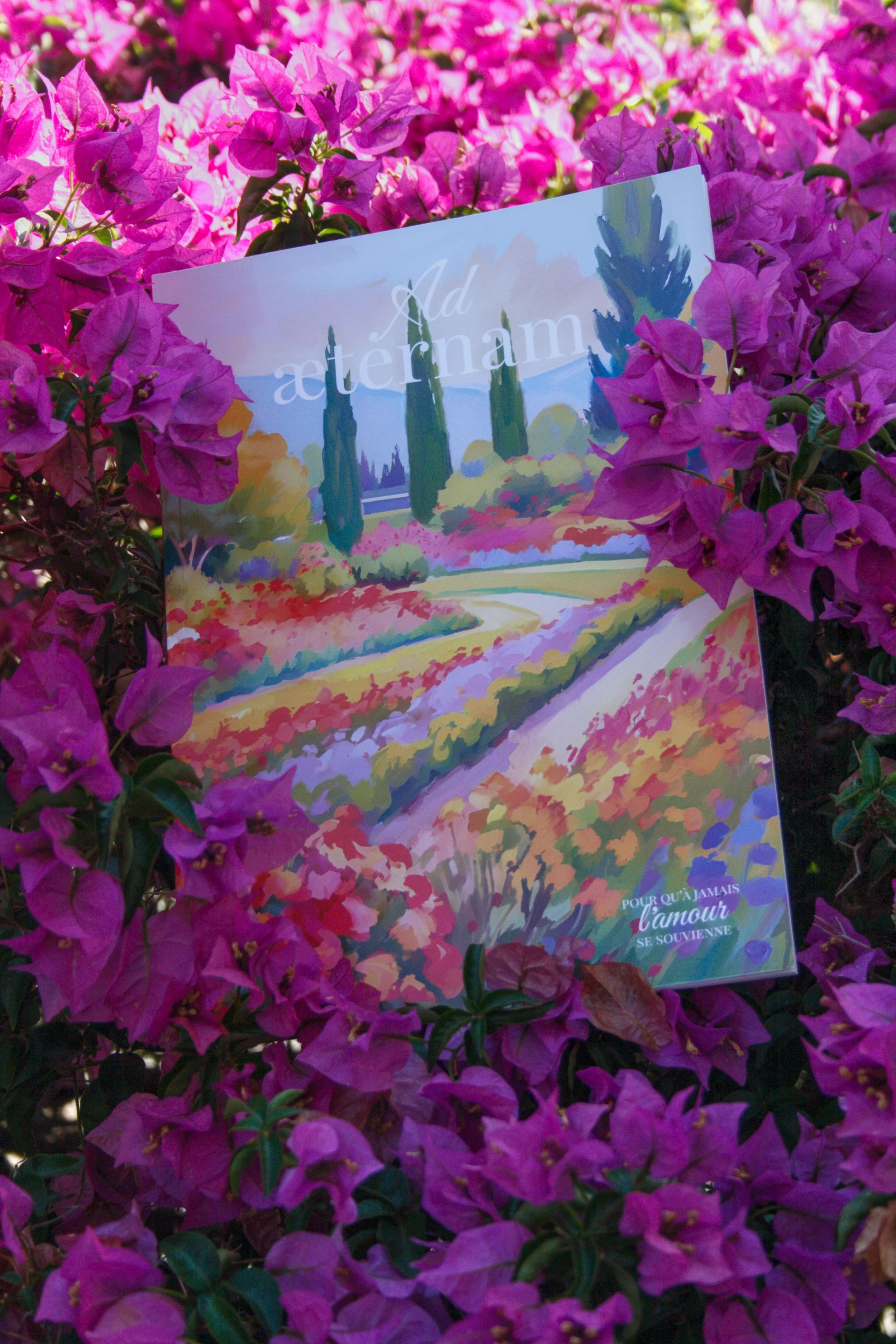 Carnet de mariage Ad Æternam, édition 2026, posé au milieu de bougainvillées roses et violettes, couverture illustrée d'un paysage provençal avec la mention "Pour qu'à jamais l'amour se souvienne
