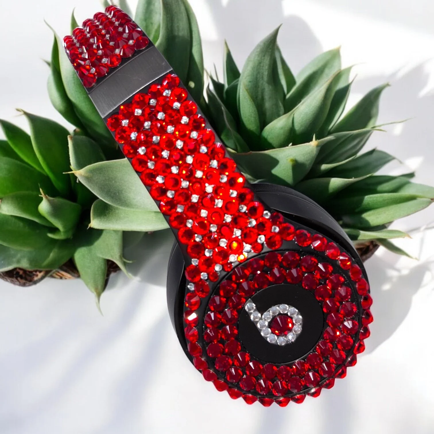 beats 2 succulent 2-Photoroom.jpeg