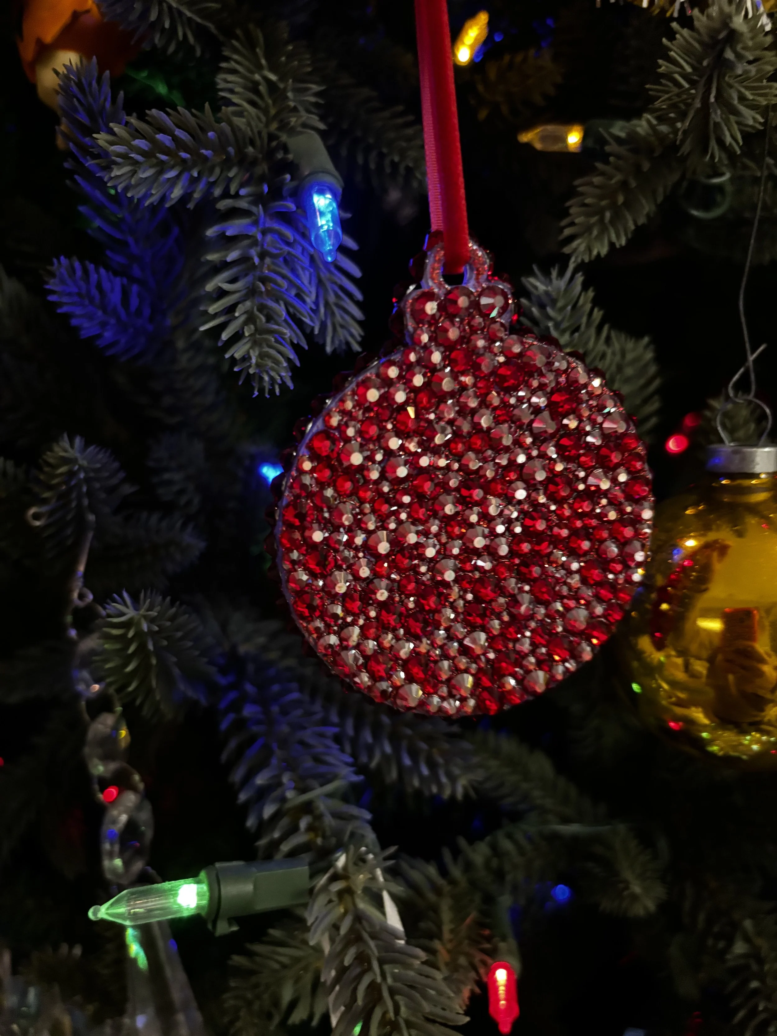 IMG_9355.jpeg