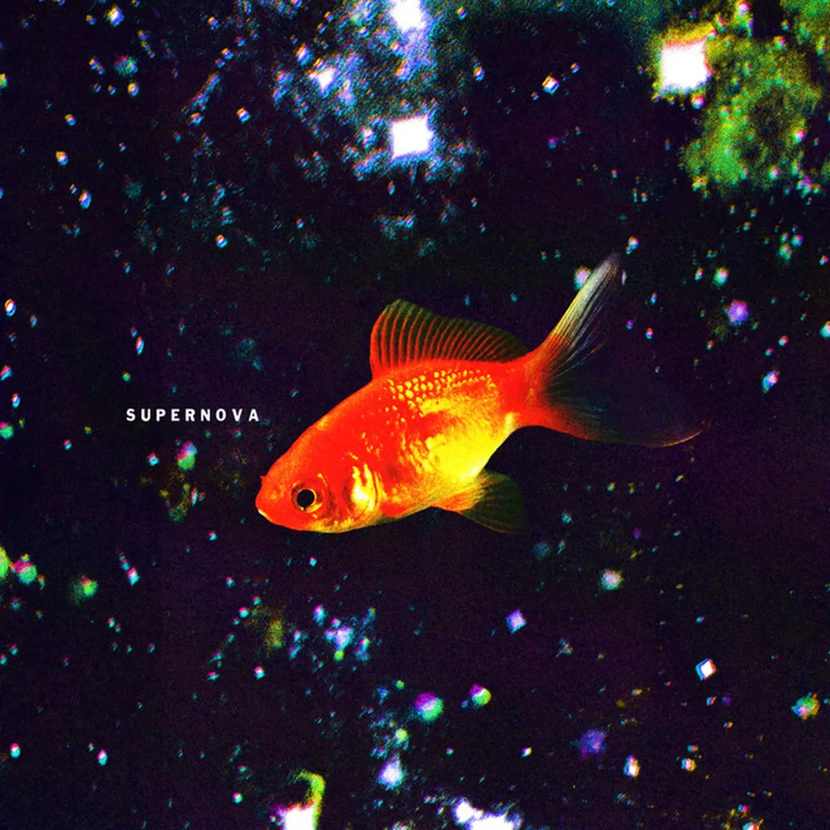 Supernova: il viaggio nel cuore di mobrici