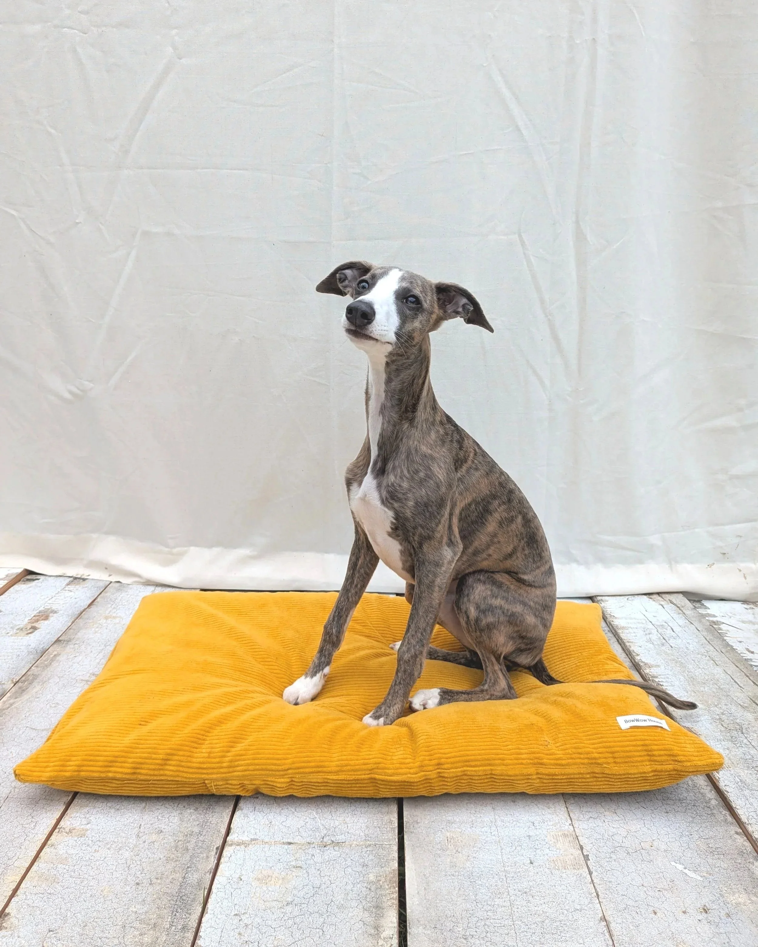 Eco-friendly dog bed made from sustainable natural materials