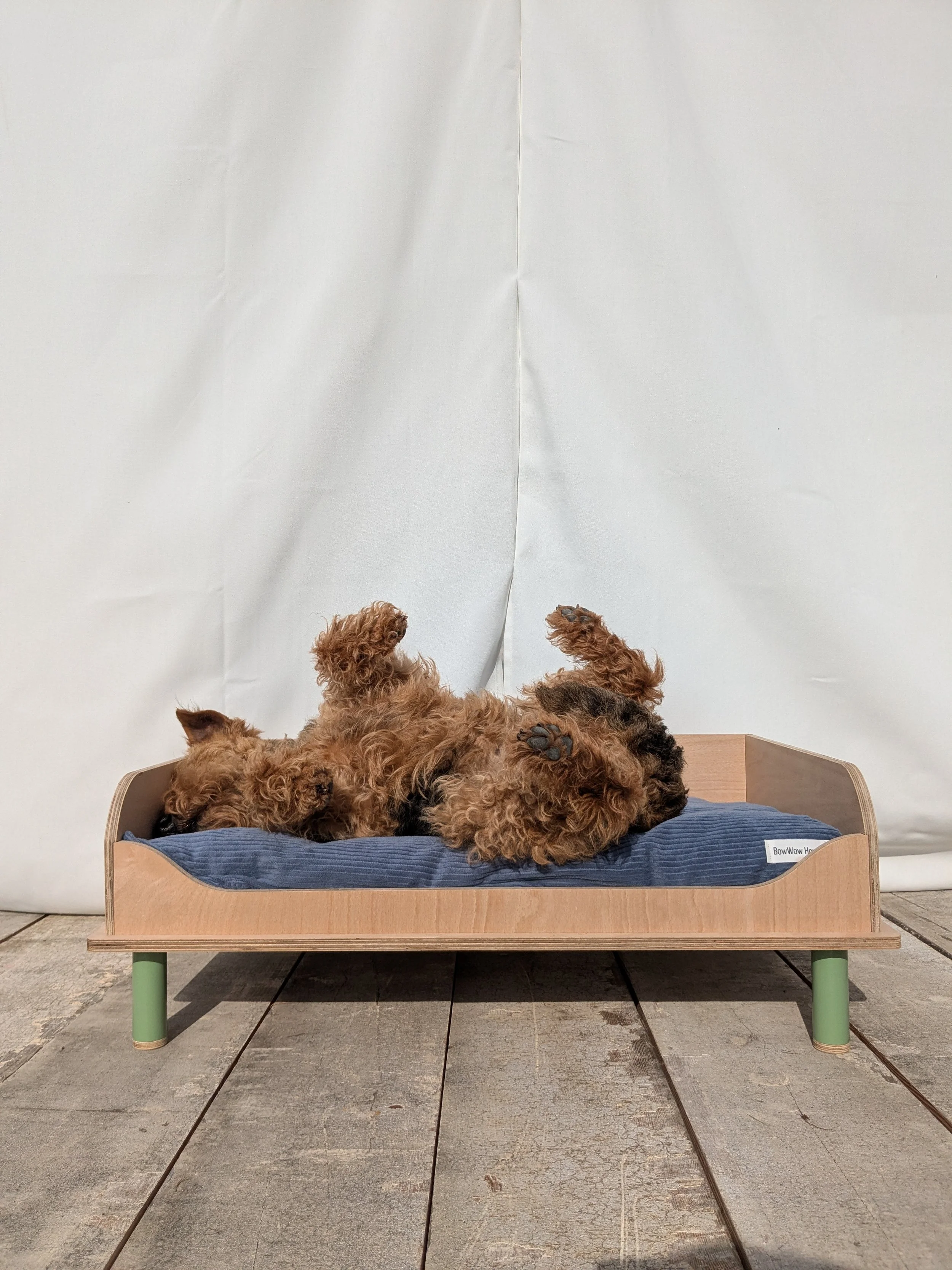 Doggy Day Bed | Designer Wooden Dog Daybed & Cushion